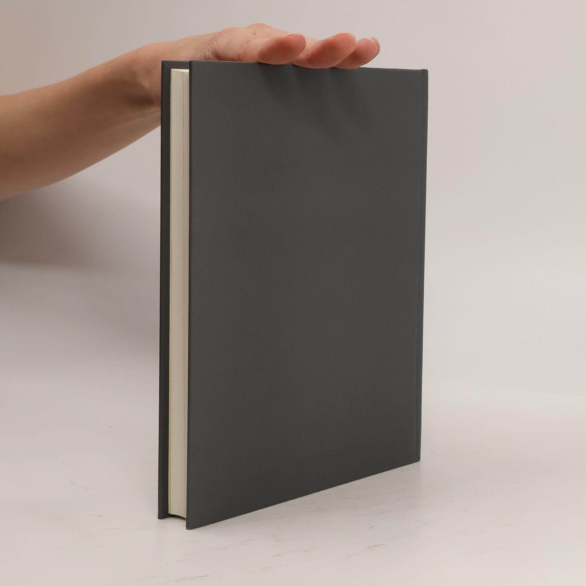 Paul Binder Stukkateur-Handbuch