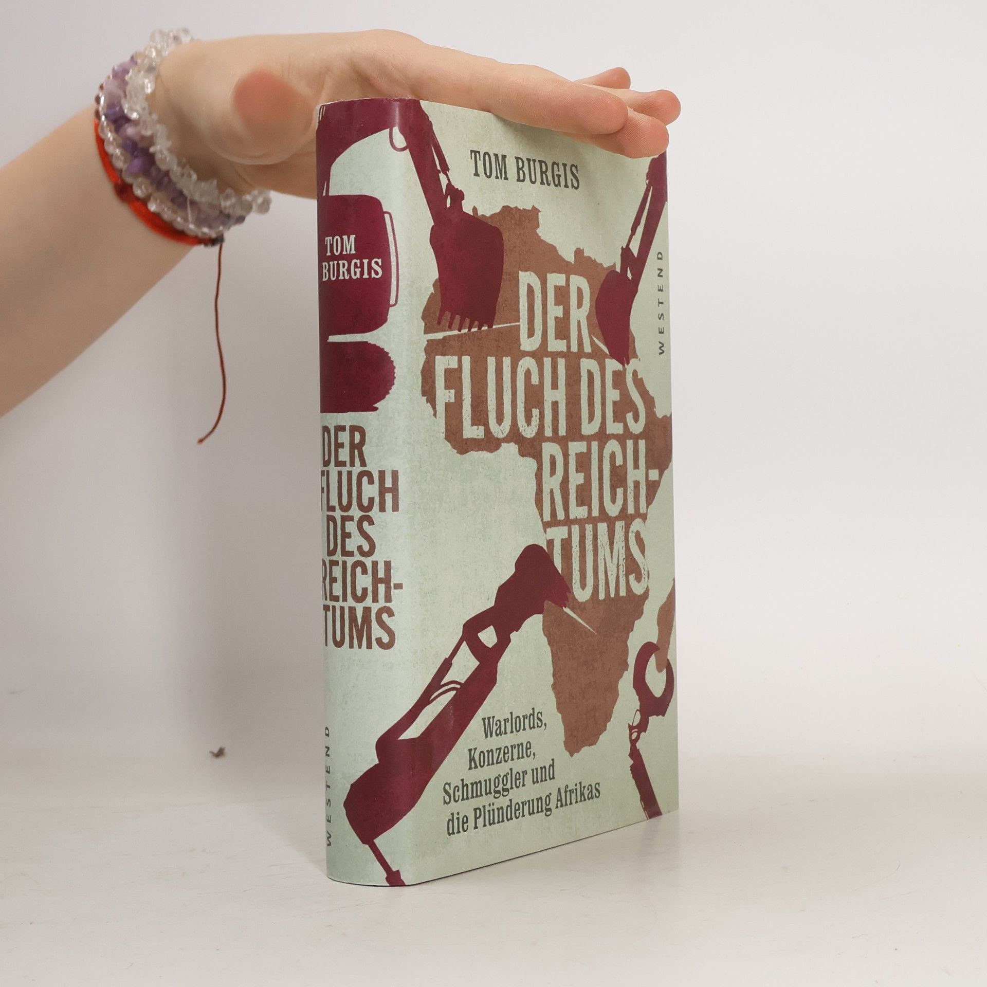 Tom Burgis Der Fluch des Reichtums