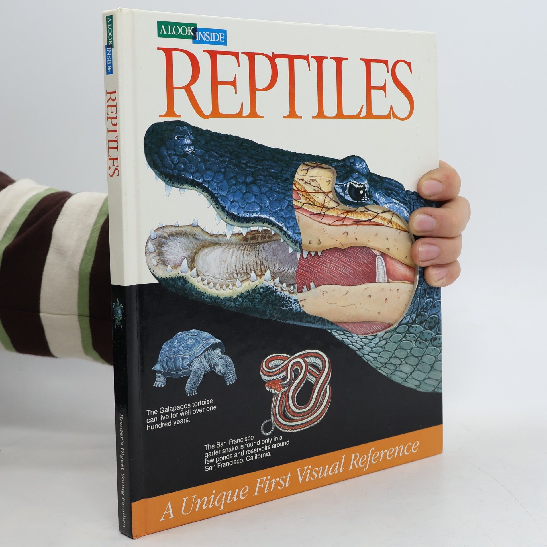 June Chatfield A Look Inside: Reptiles
