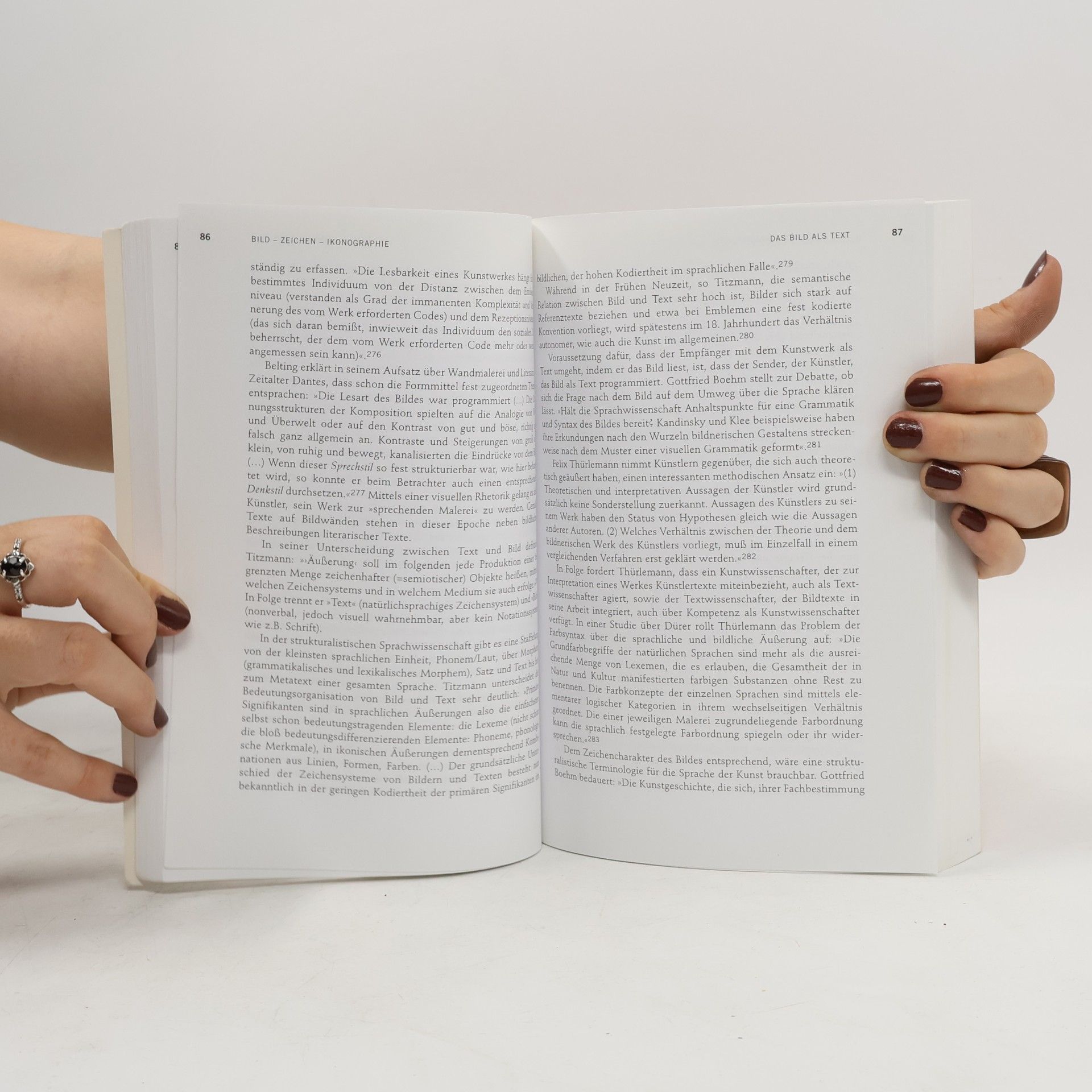Theresia Hauenfels Angewandte Kulturwissenschaften Wien - 3: Visualisierung von Herrschaftsanspruch