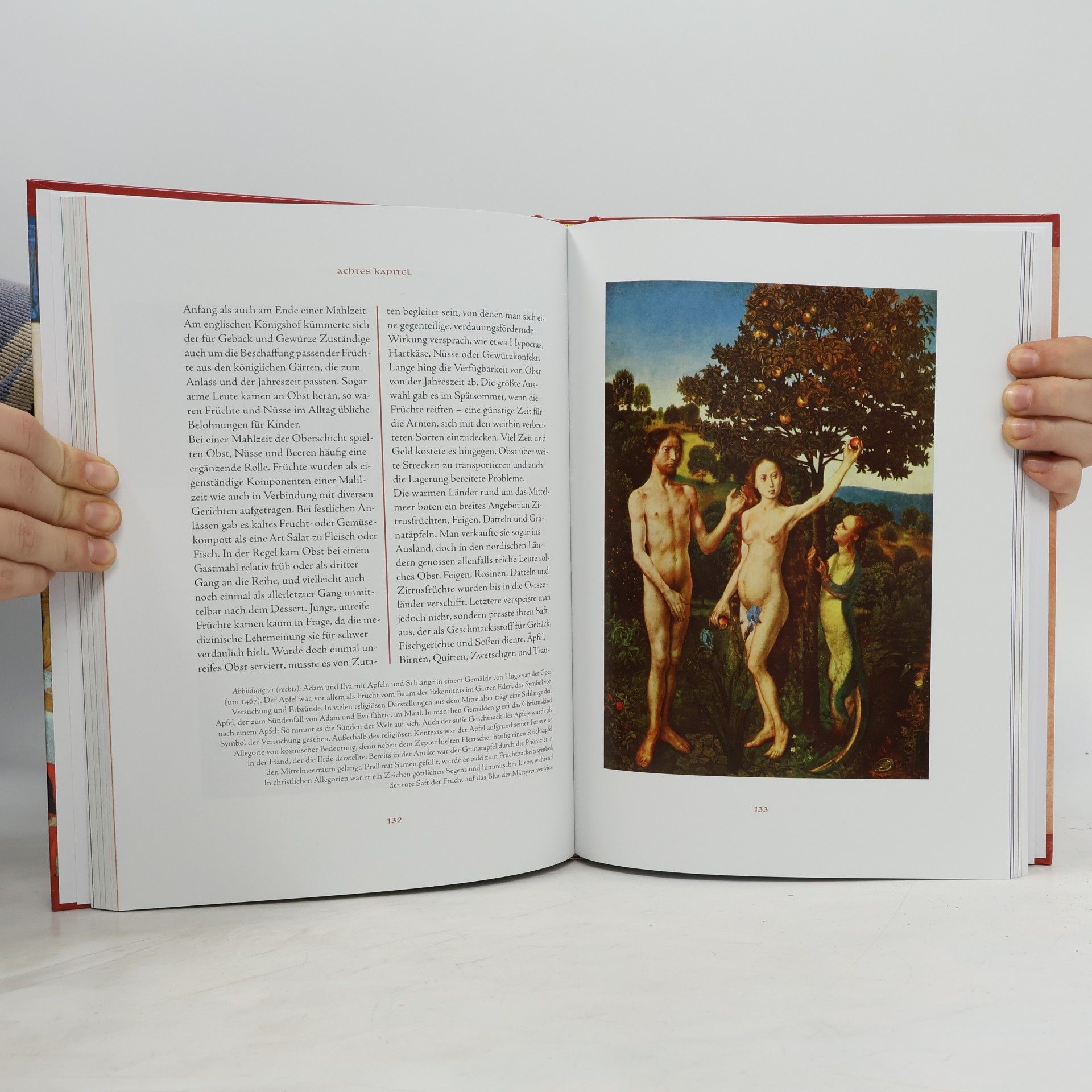 Hannele Klemettilä Das Mittelalter-Kochbuch
