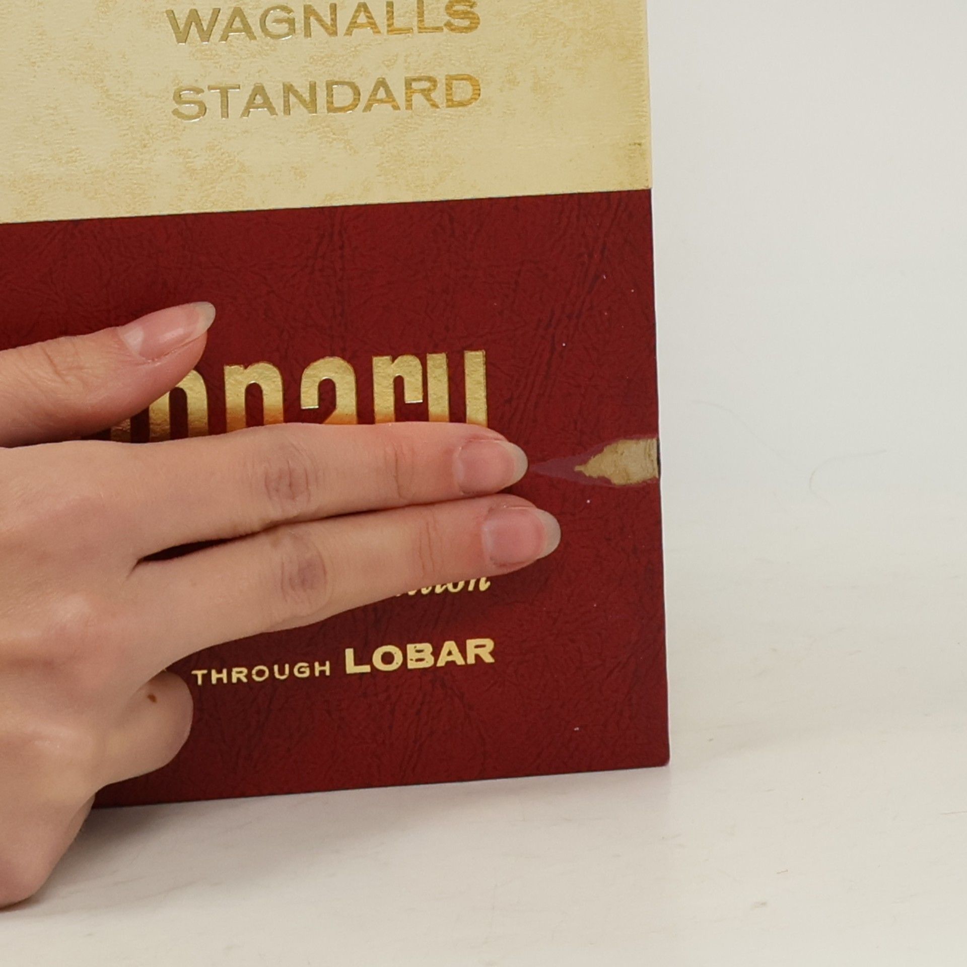 Autorenkollektiv Funk & Wagnalls Standard. Dictionary