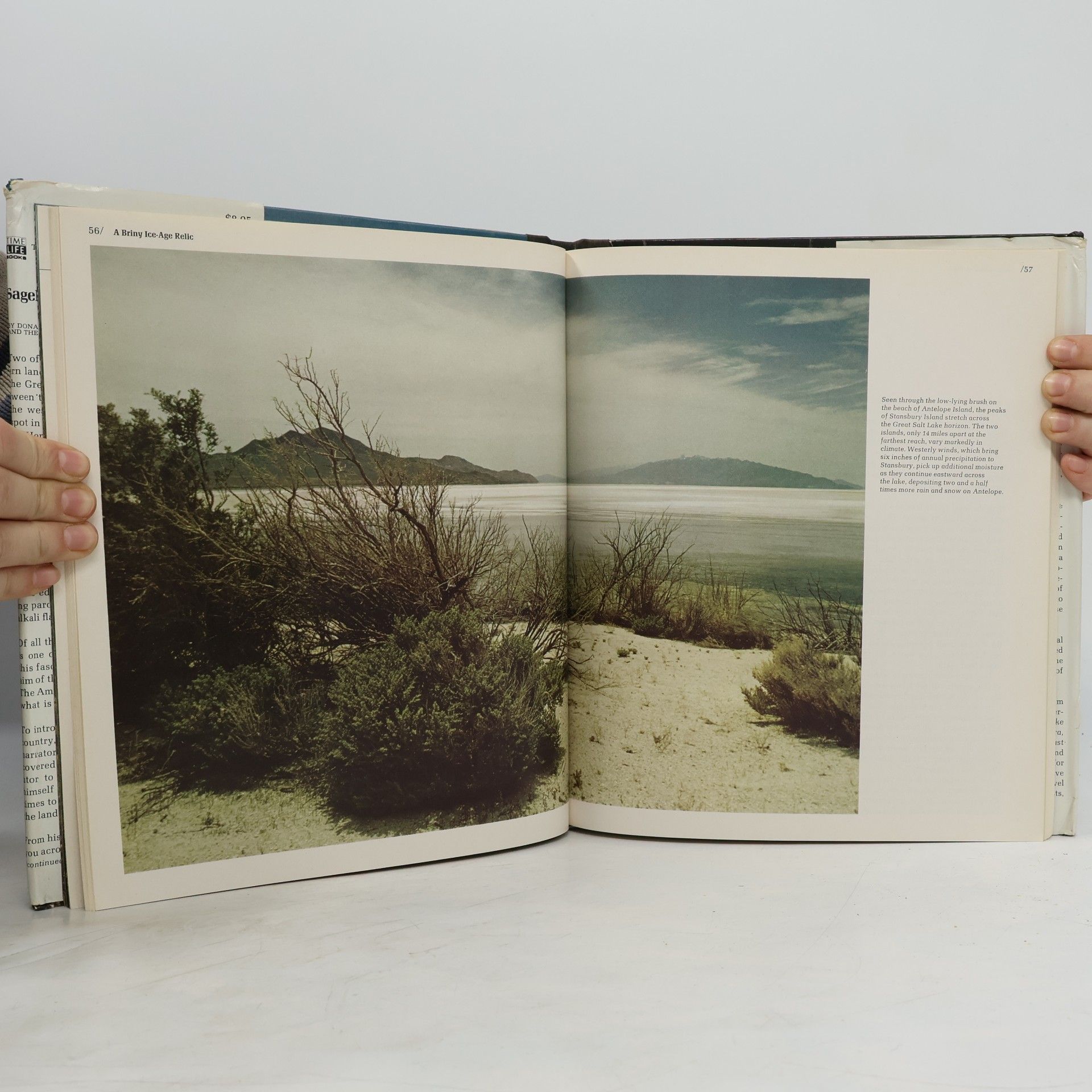 Donald Dale Jackson The American Wilderness: Sagebrush Country