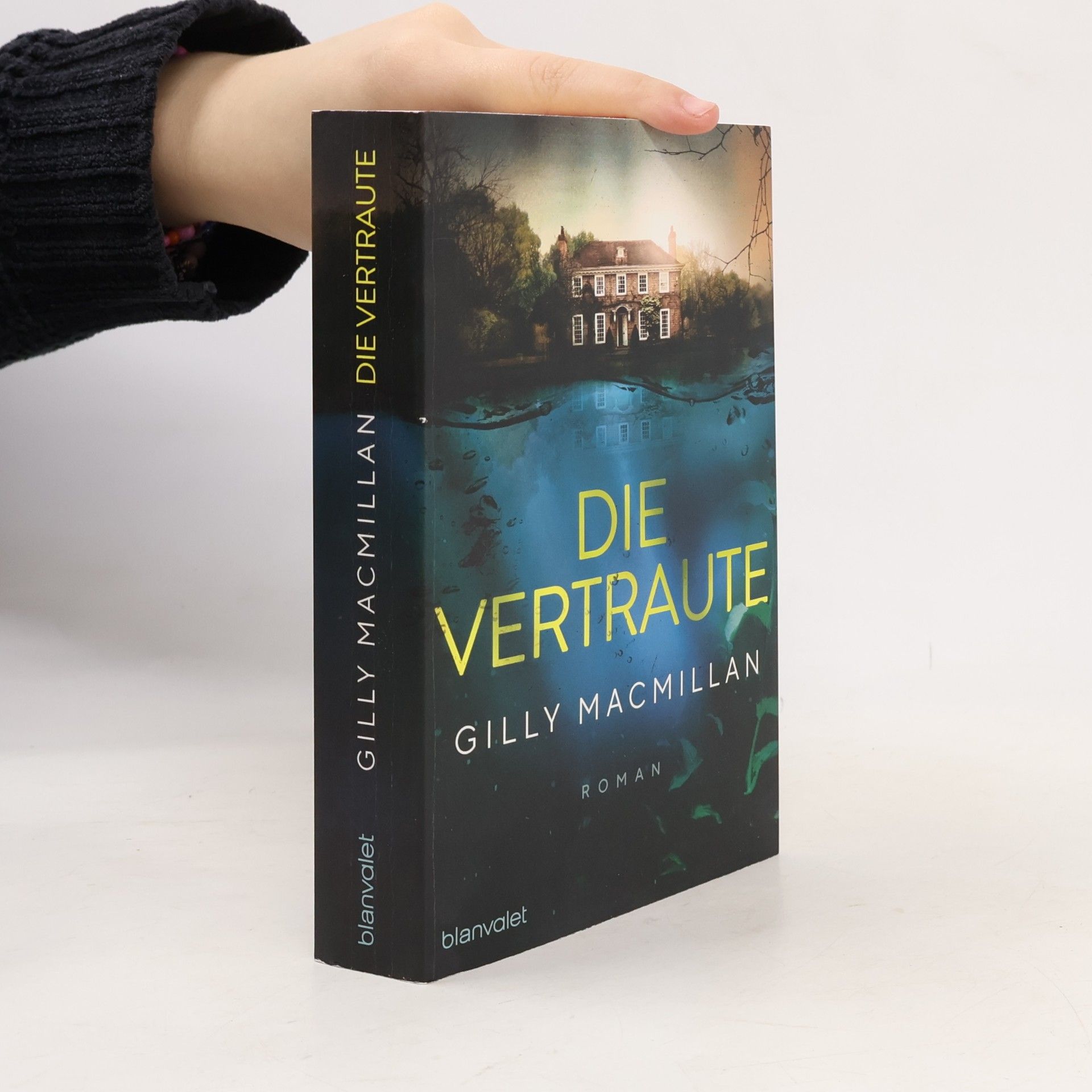 Gilly Macmillan Die Vertraute