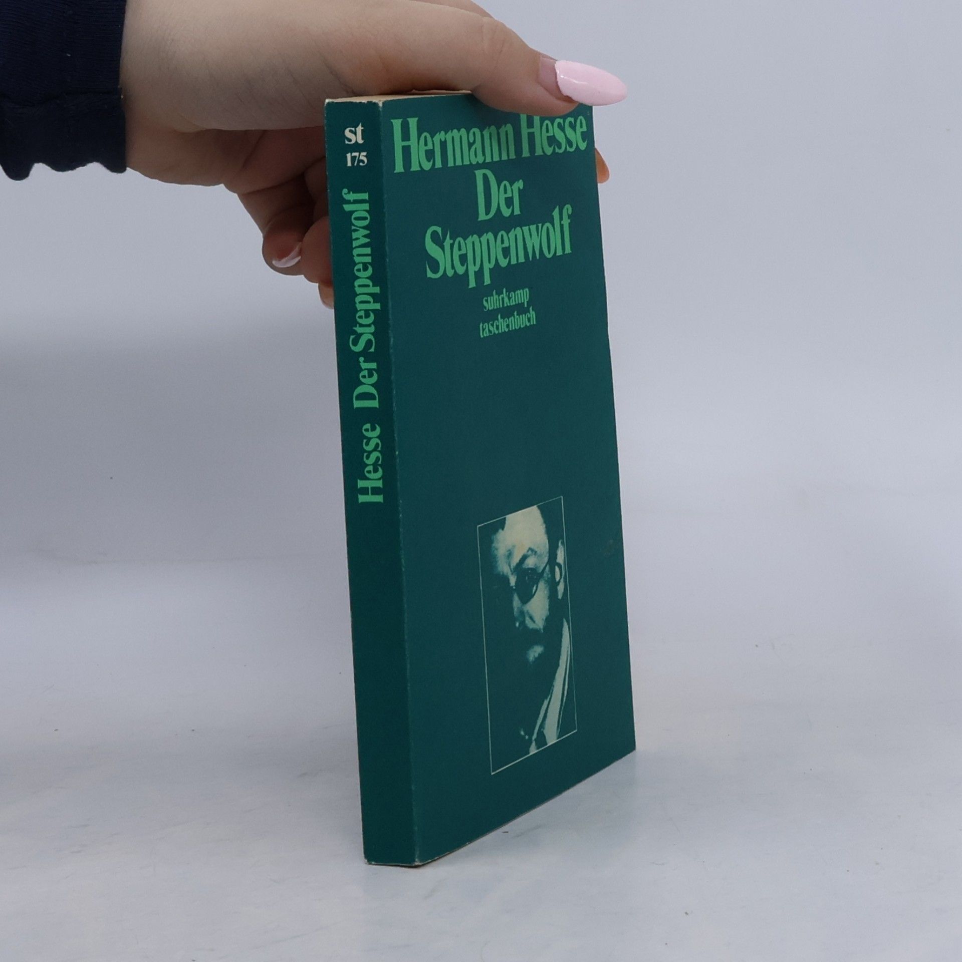 Hermann Hesse Der Steppenwolf
