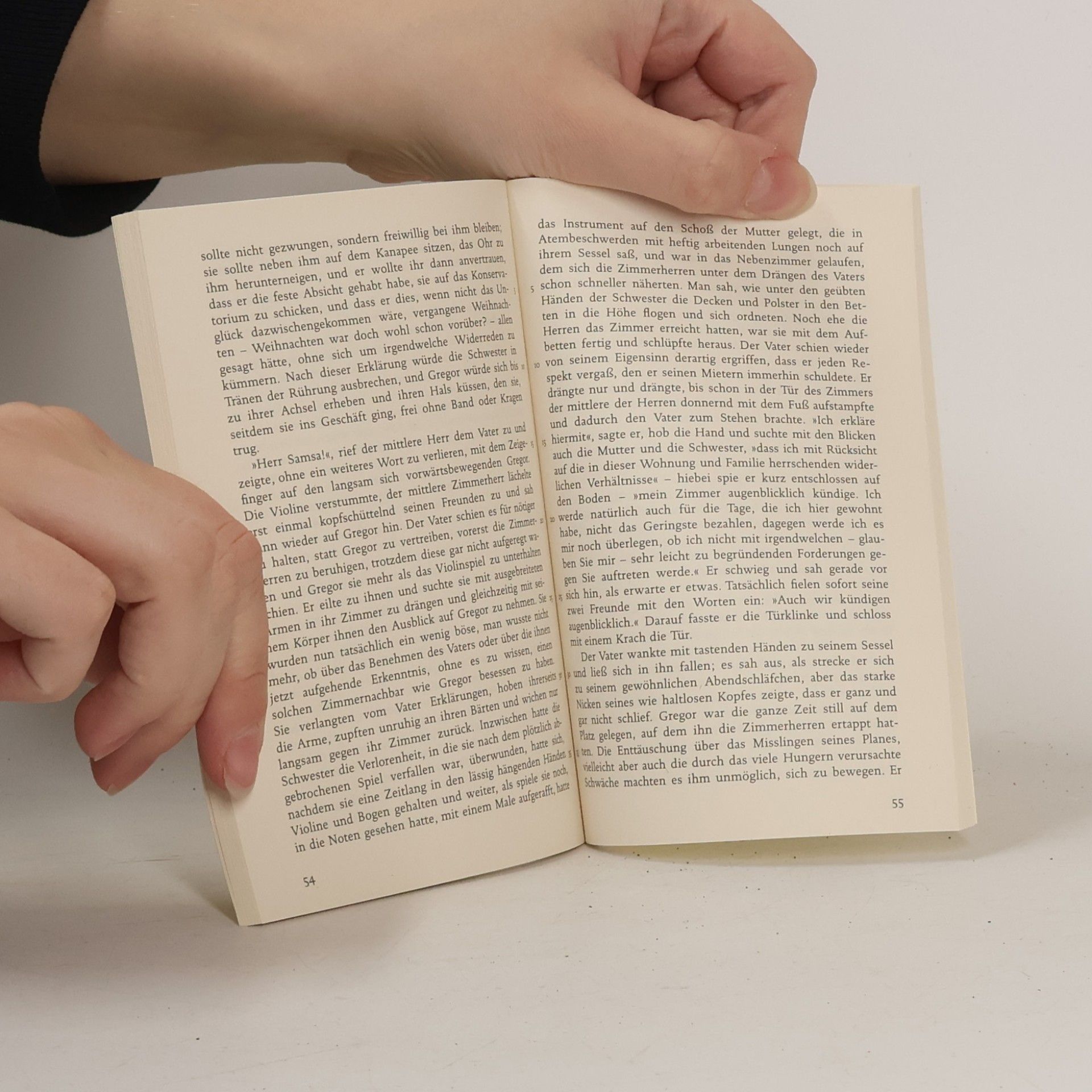 Franz Kafka Die Verwandlung