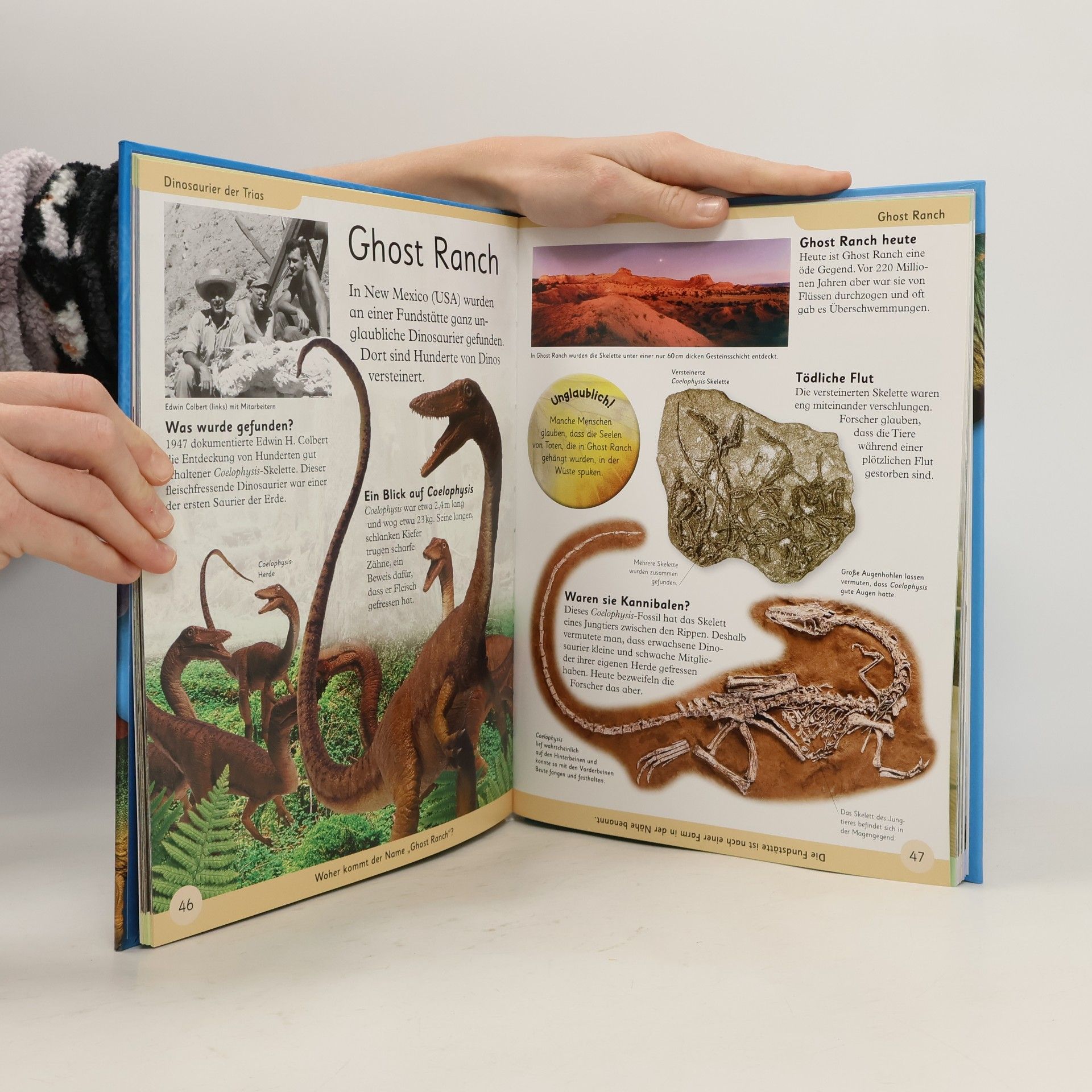Caroline Bingham Mein Dino-Lexikon