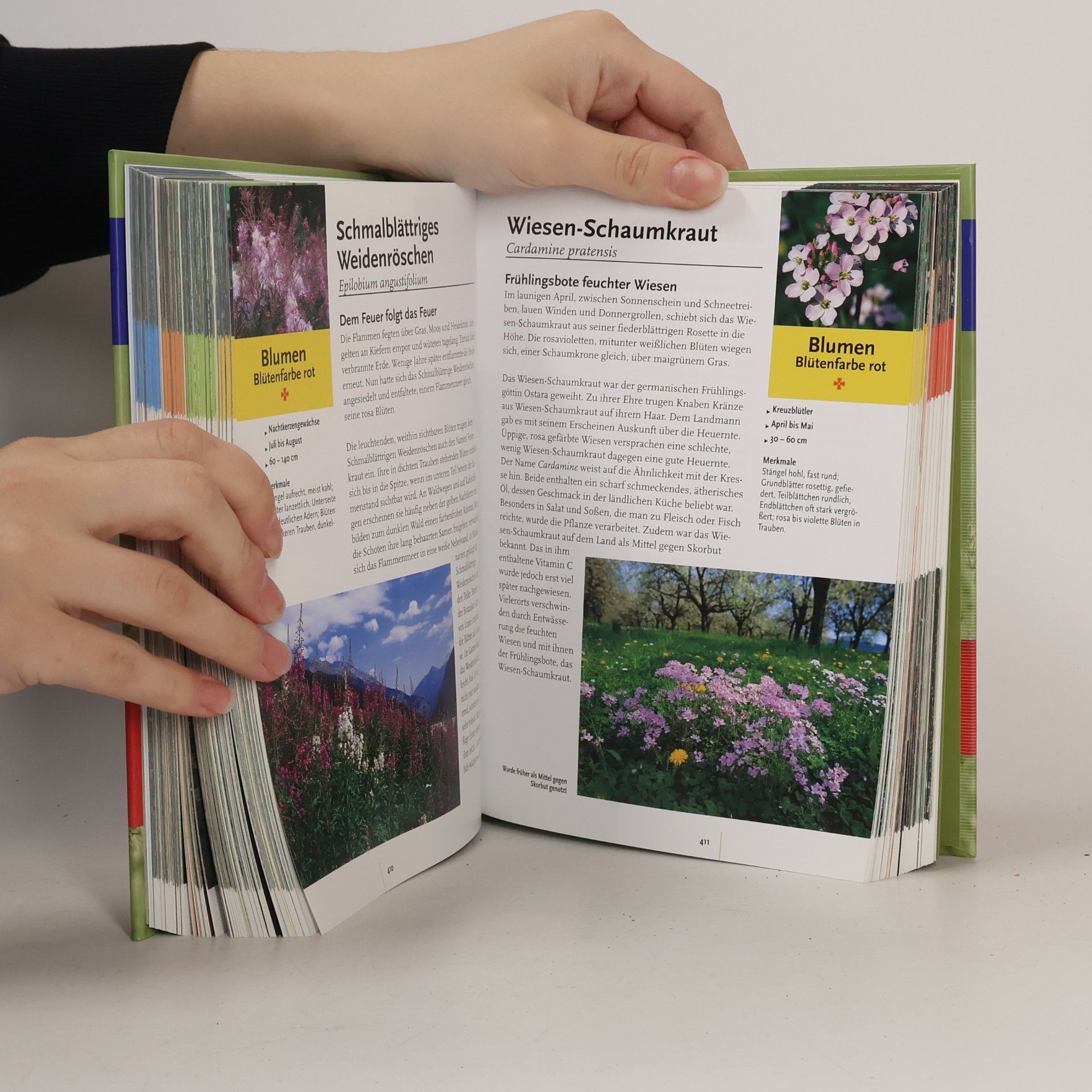 Wolfgang Dreyer Das Kosmos-Handbuch Natur