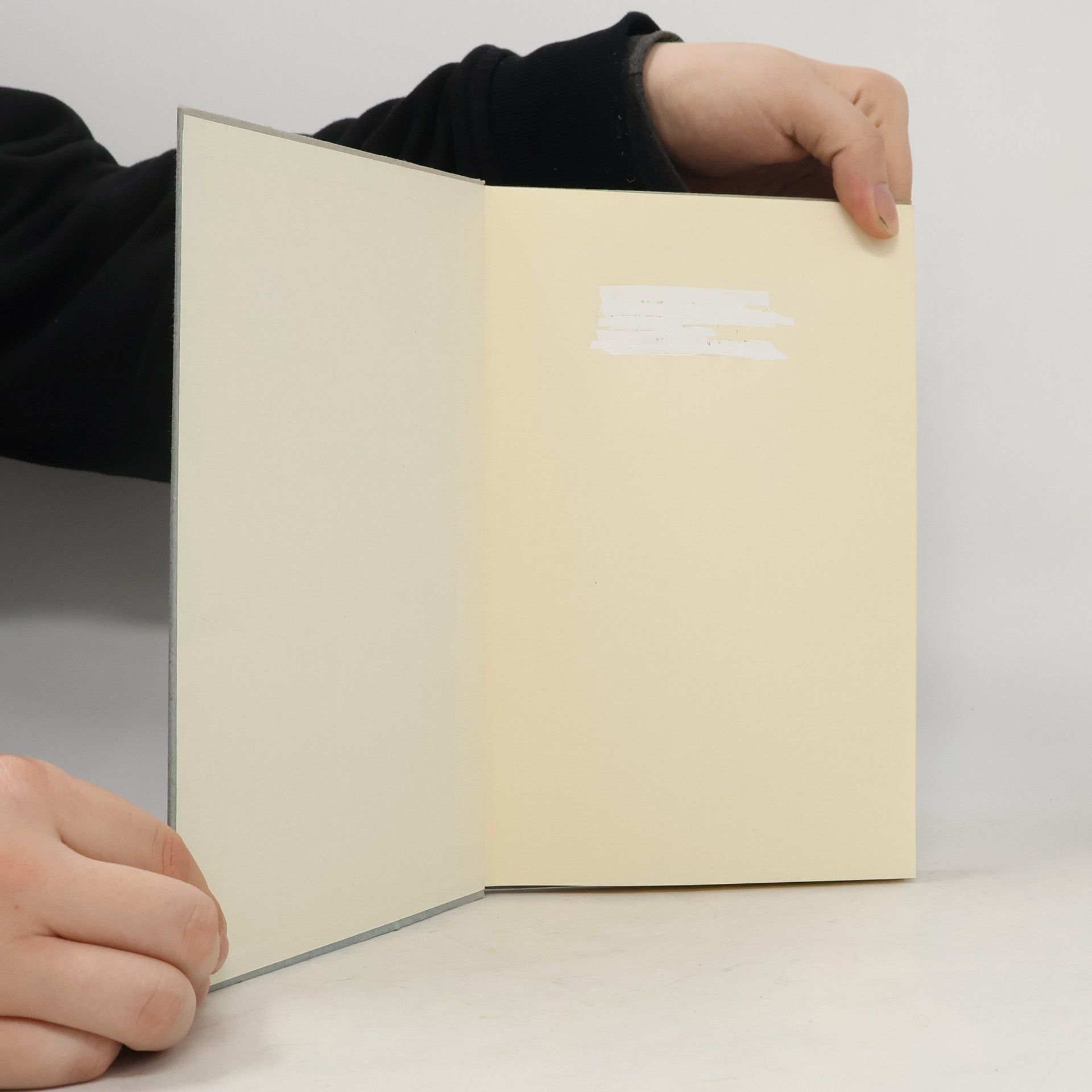 kolektiv Der Grosse Auftrag.Ein Lesebuch