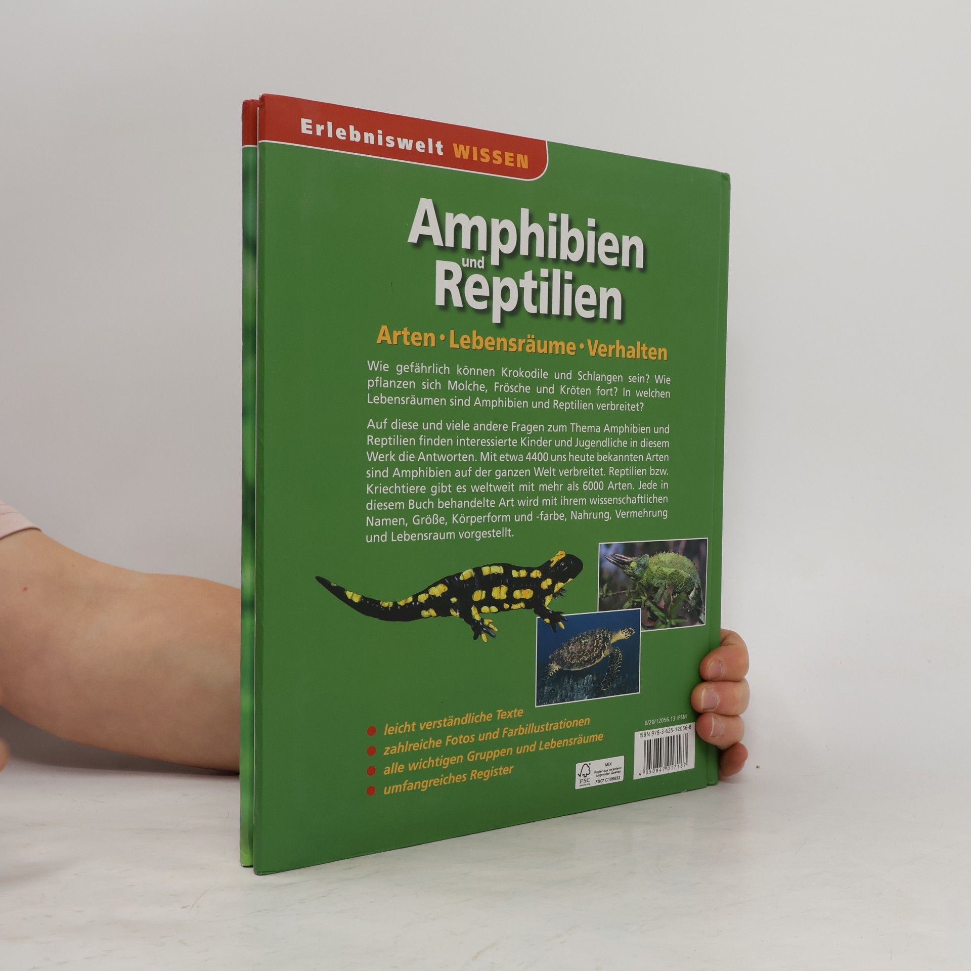 Autorenkollektiv Amphibien und Reptilien