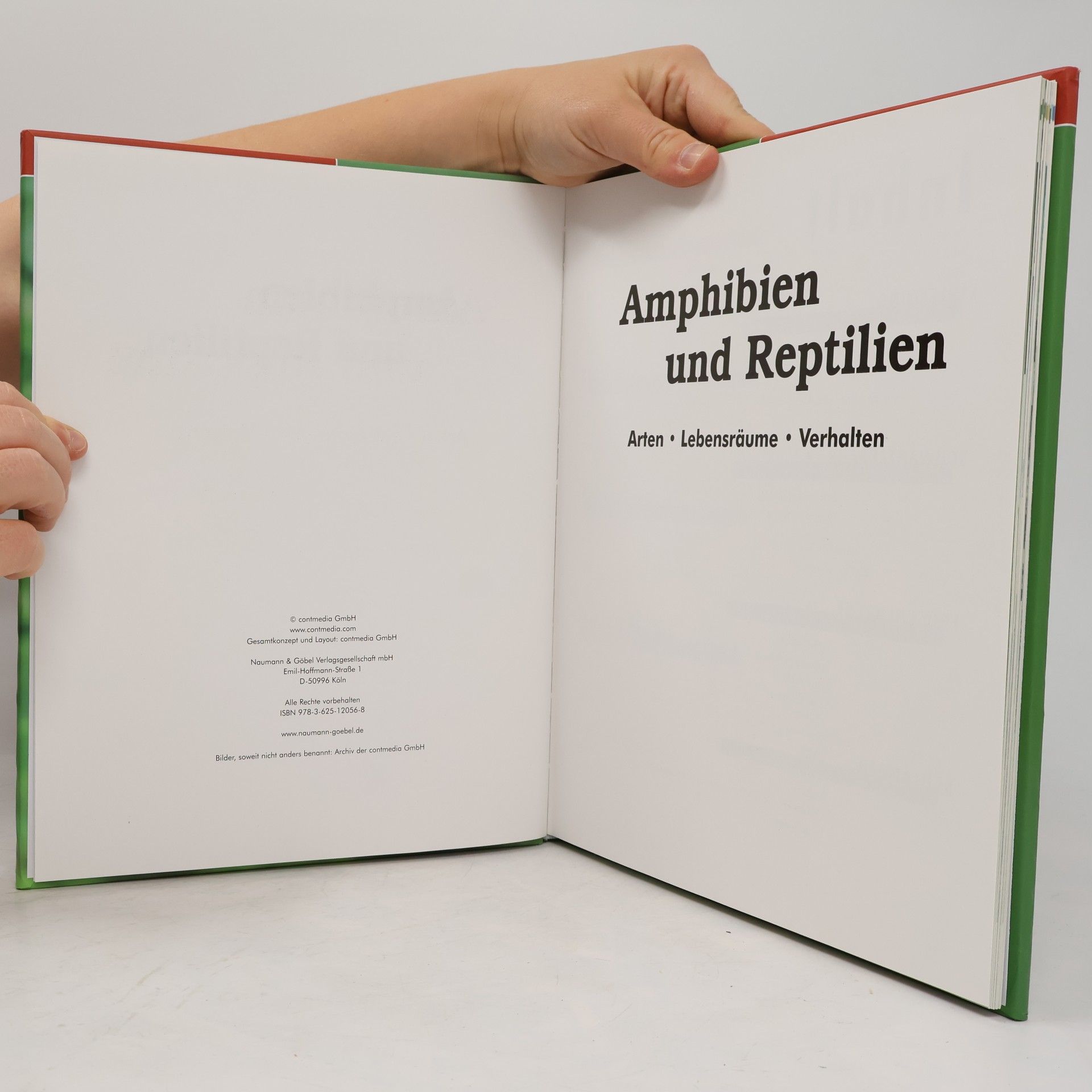 Autorenkollektiv Amphibien und Reptilien