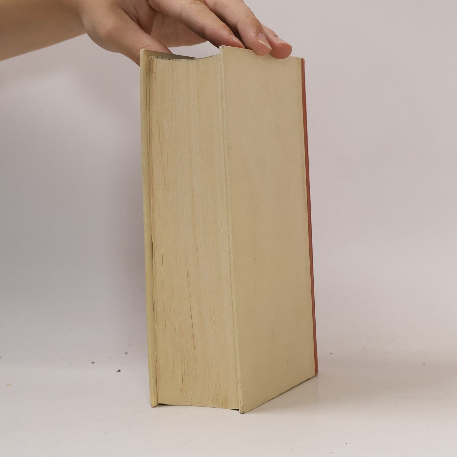 Gustav Freytag Die Ahnen