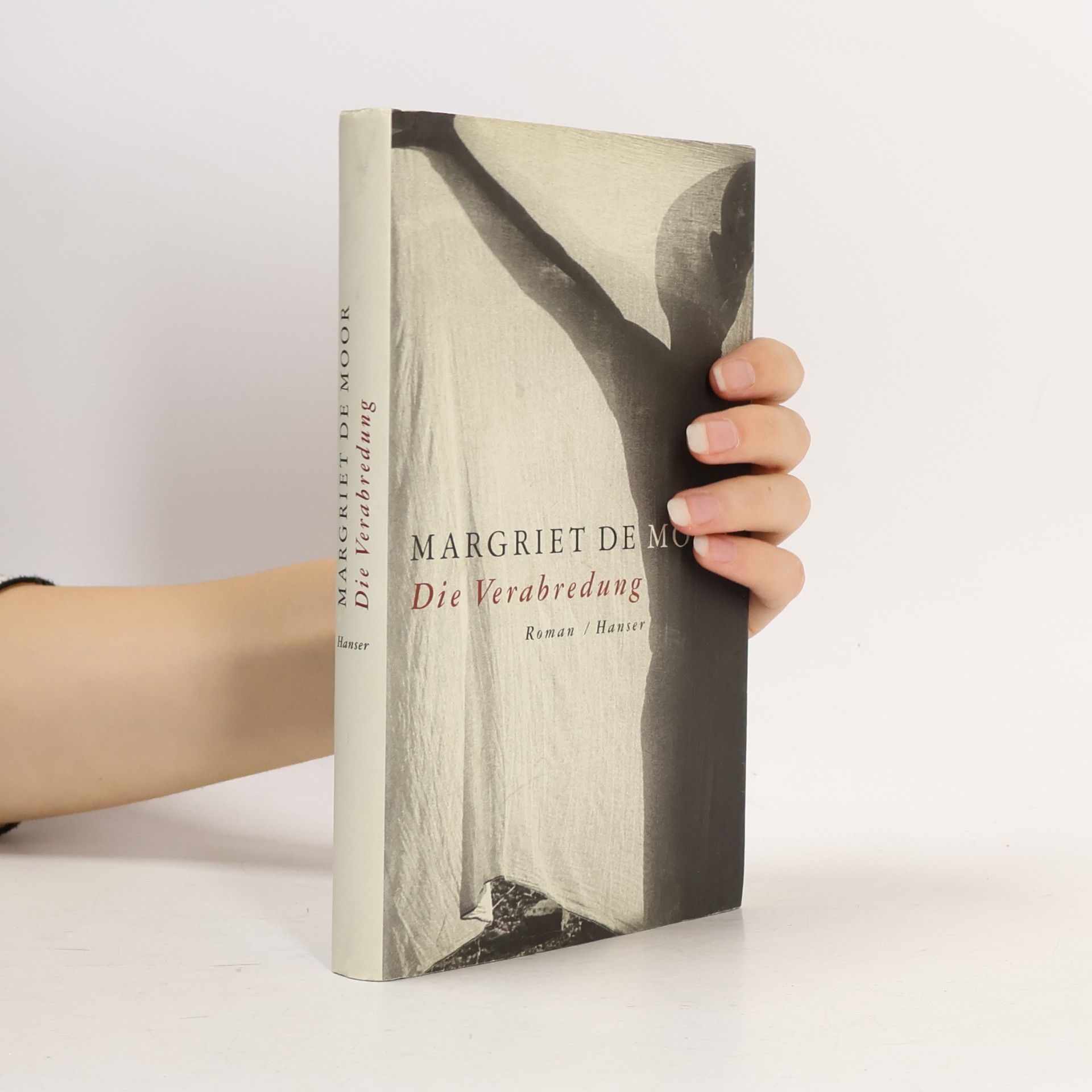 Margriet de Moor Die Verabredung