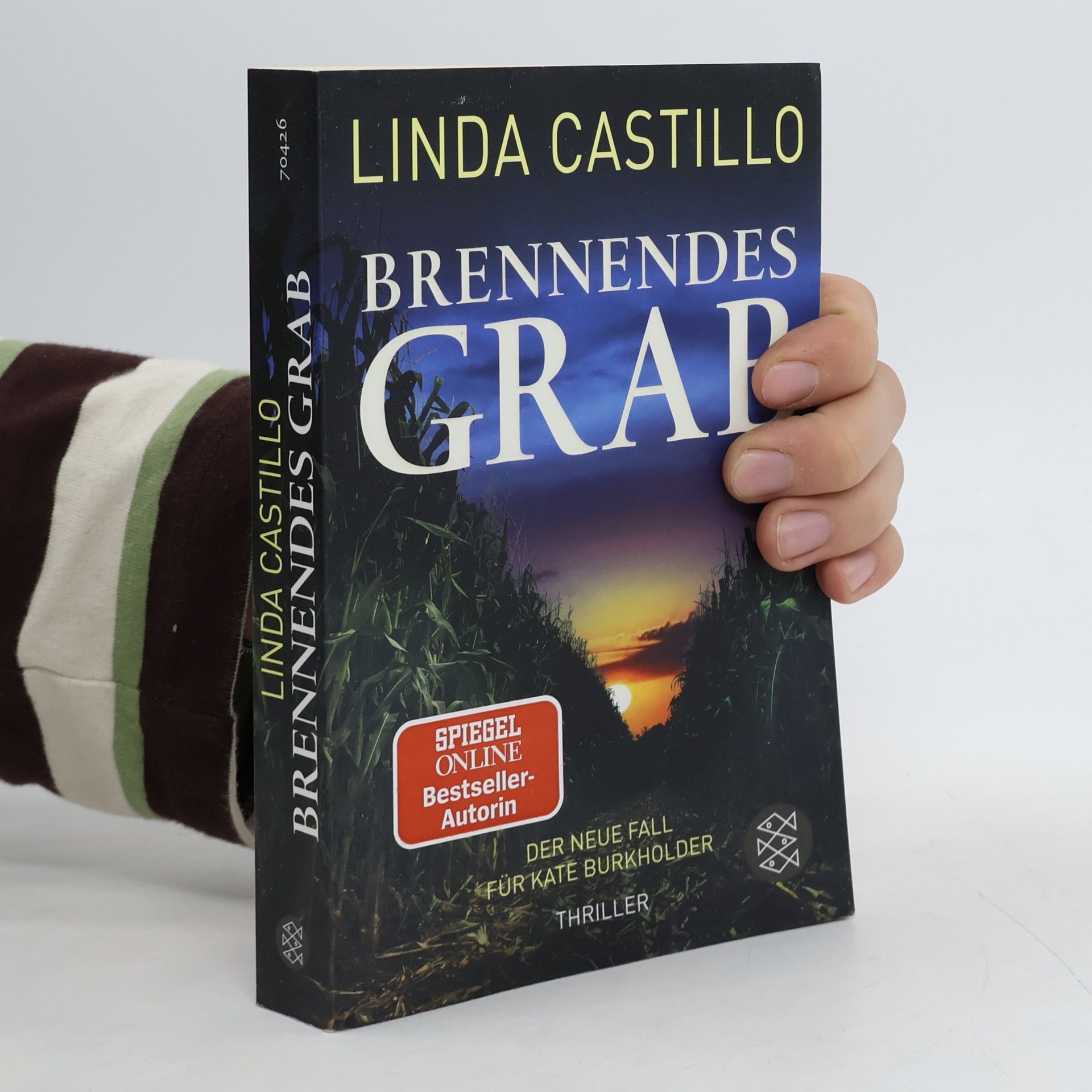 Linda Castillo Brennendes Grab