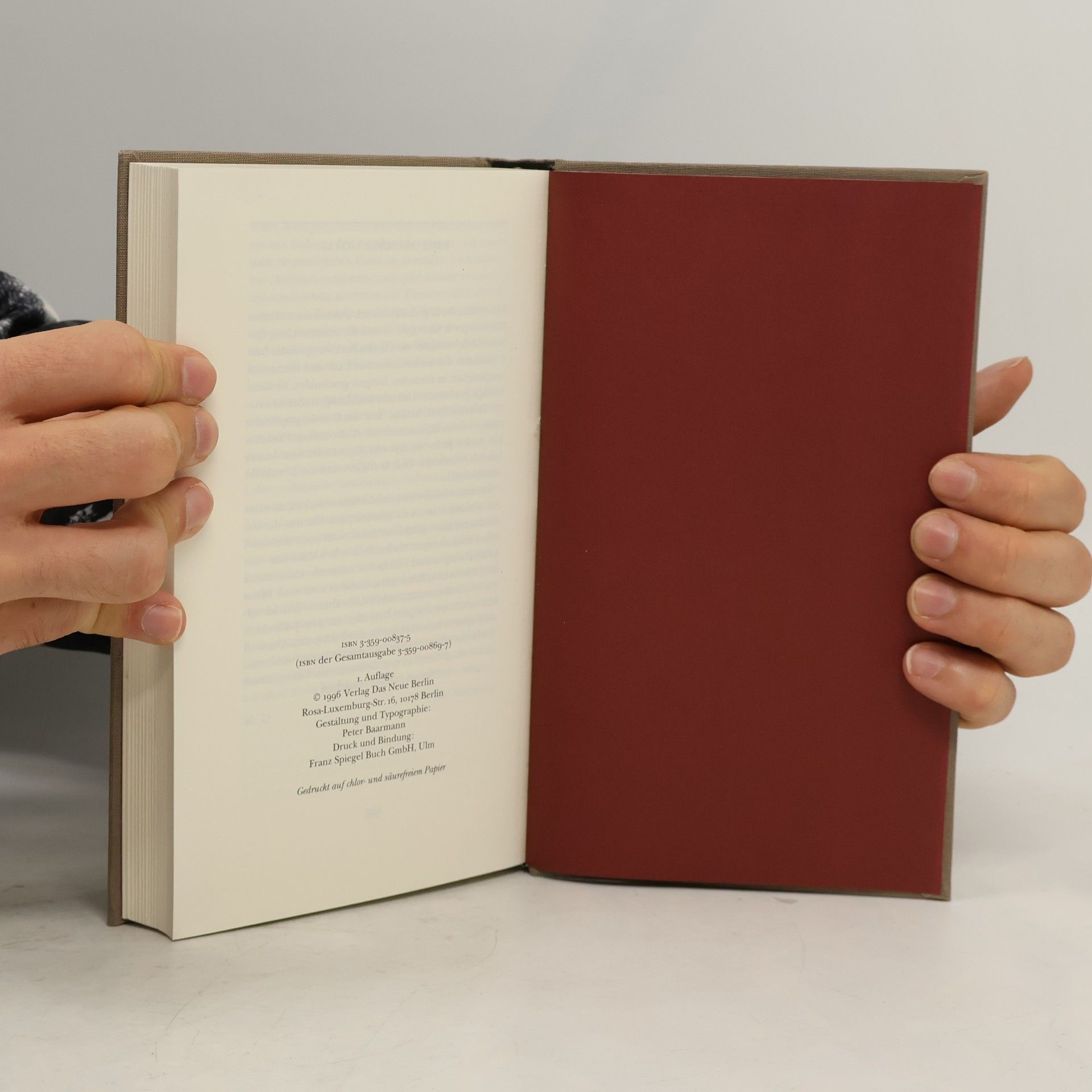 Georg Hermann Der etruskische Spiegel