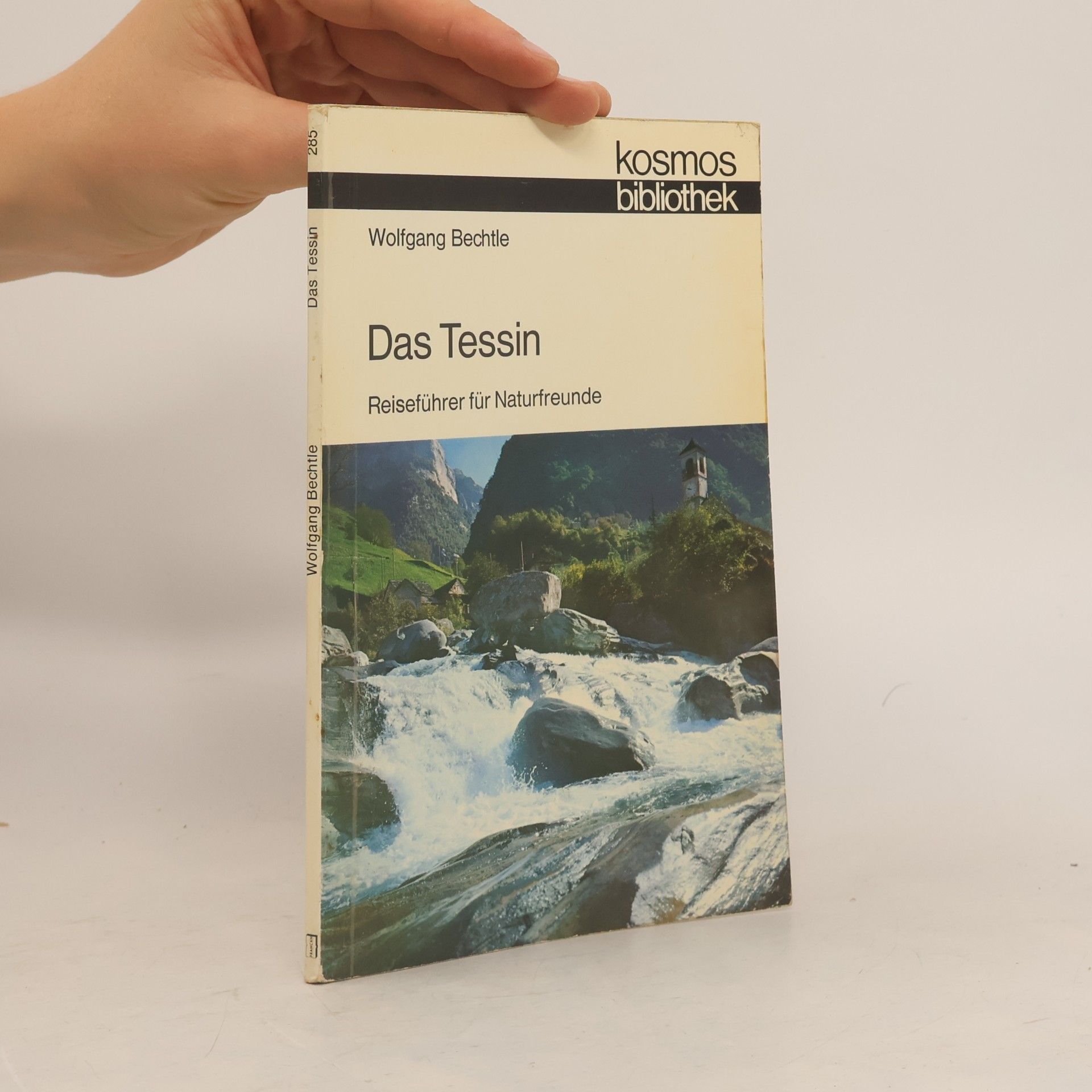 Wolfgang Bechtle Das Tessin