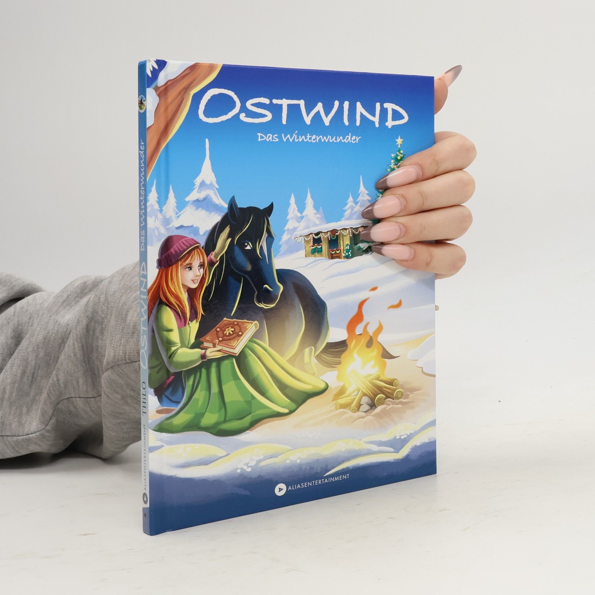 Thilo Petry-Lassak Ostwind - Das Winterwunder