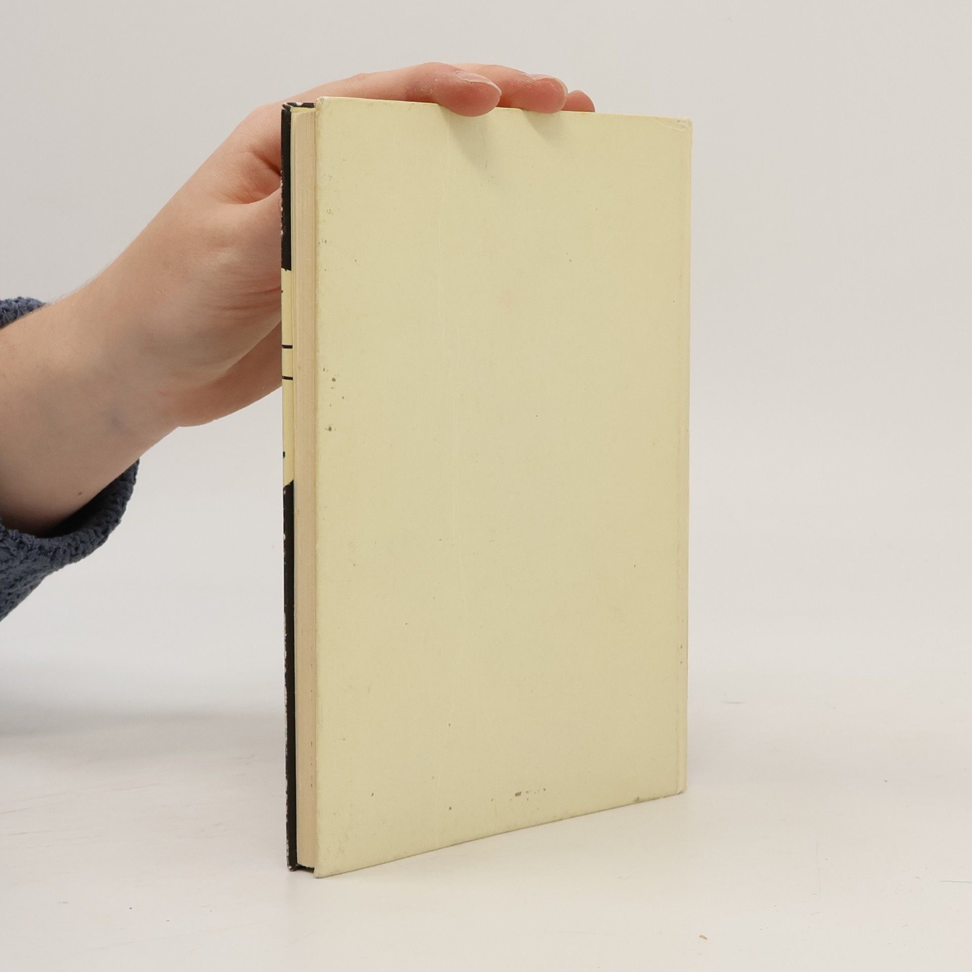 Elsa Muschg Wer Läutet?