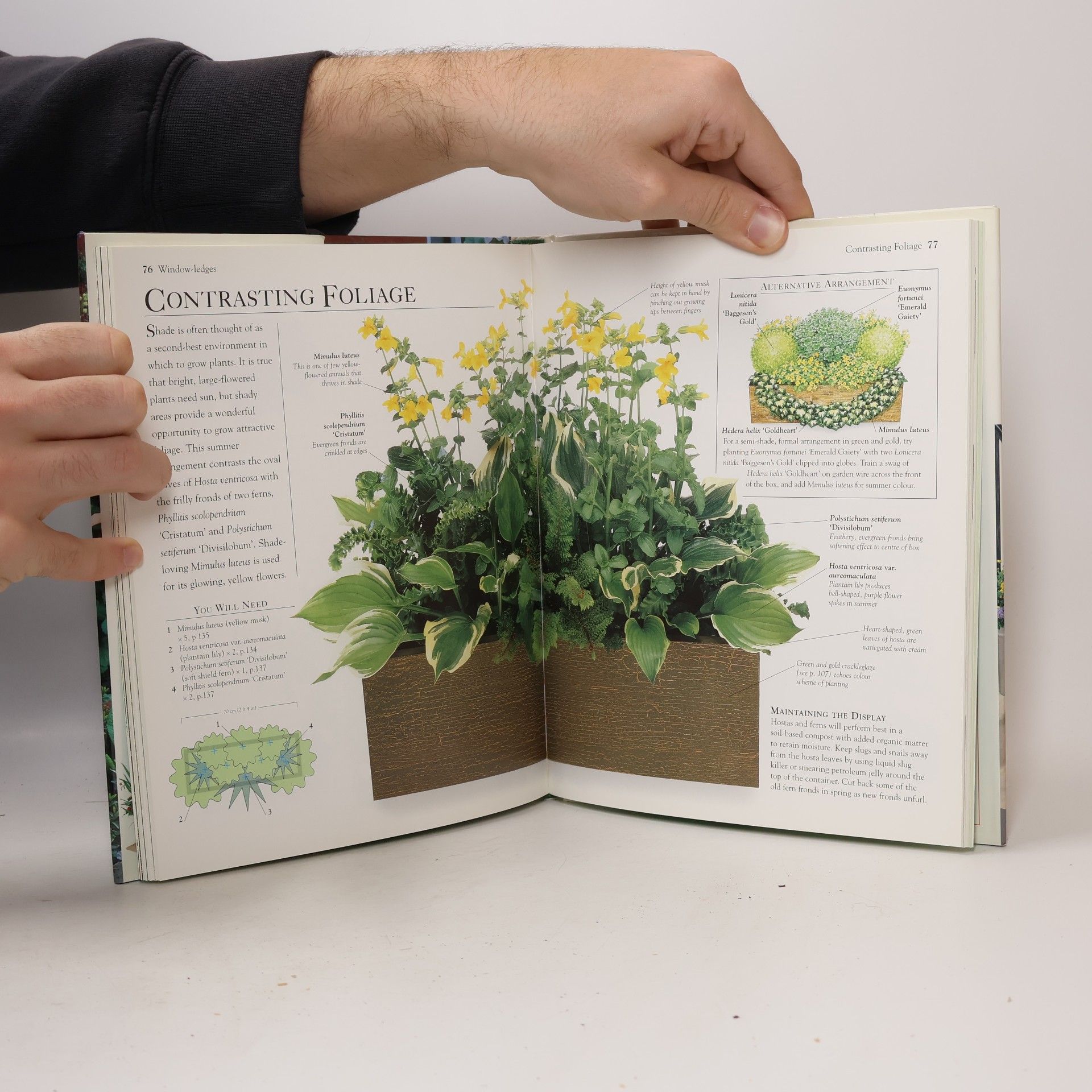 Gay Search Gardening Without a Garden