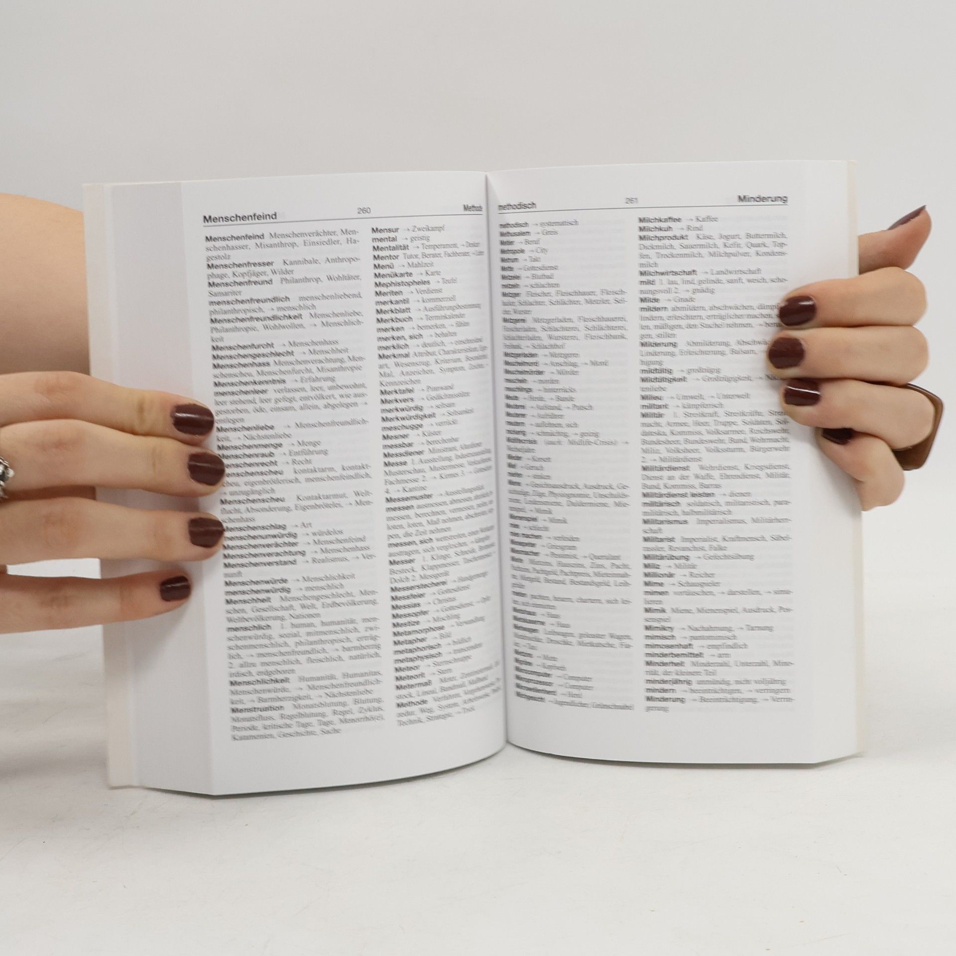 Bernhard Iglhaut Grosses Wörterbuch Deutsch-Synonyme