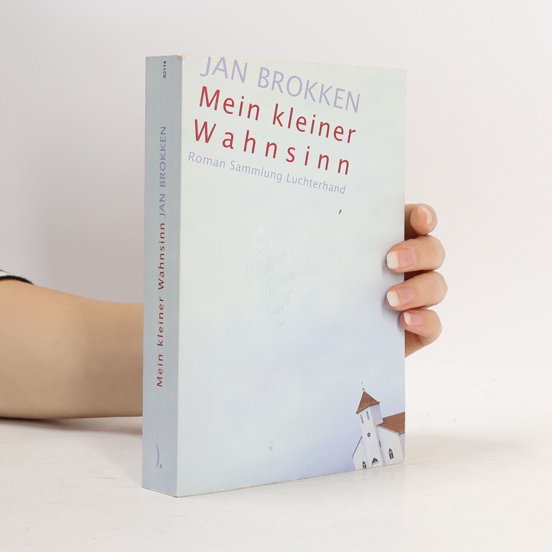 Jan Brokken Mein kleiner Wahnsinn