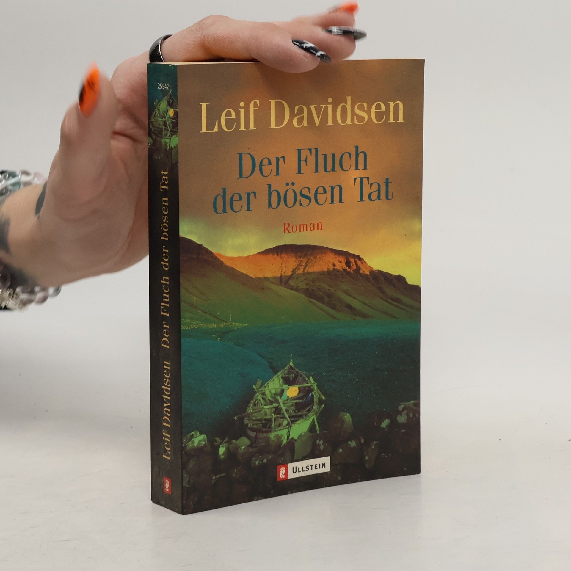 Leif Davidsen Der Fluch der bösen Tat
