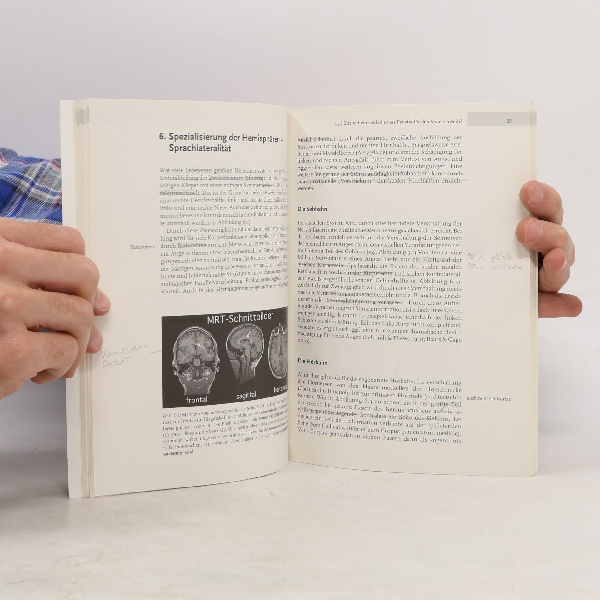 Horst M. Müller Psycholinguistik - Neurolinguistik