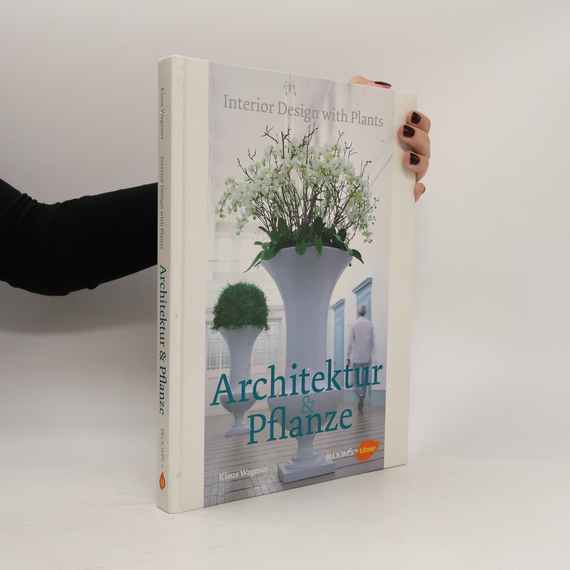 Architektur & Pflanze