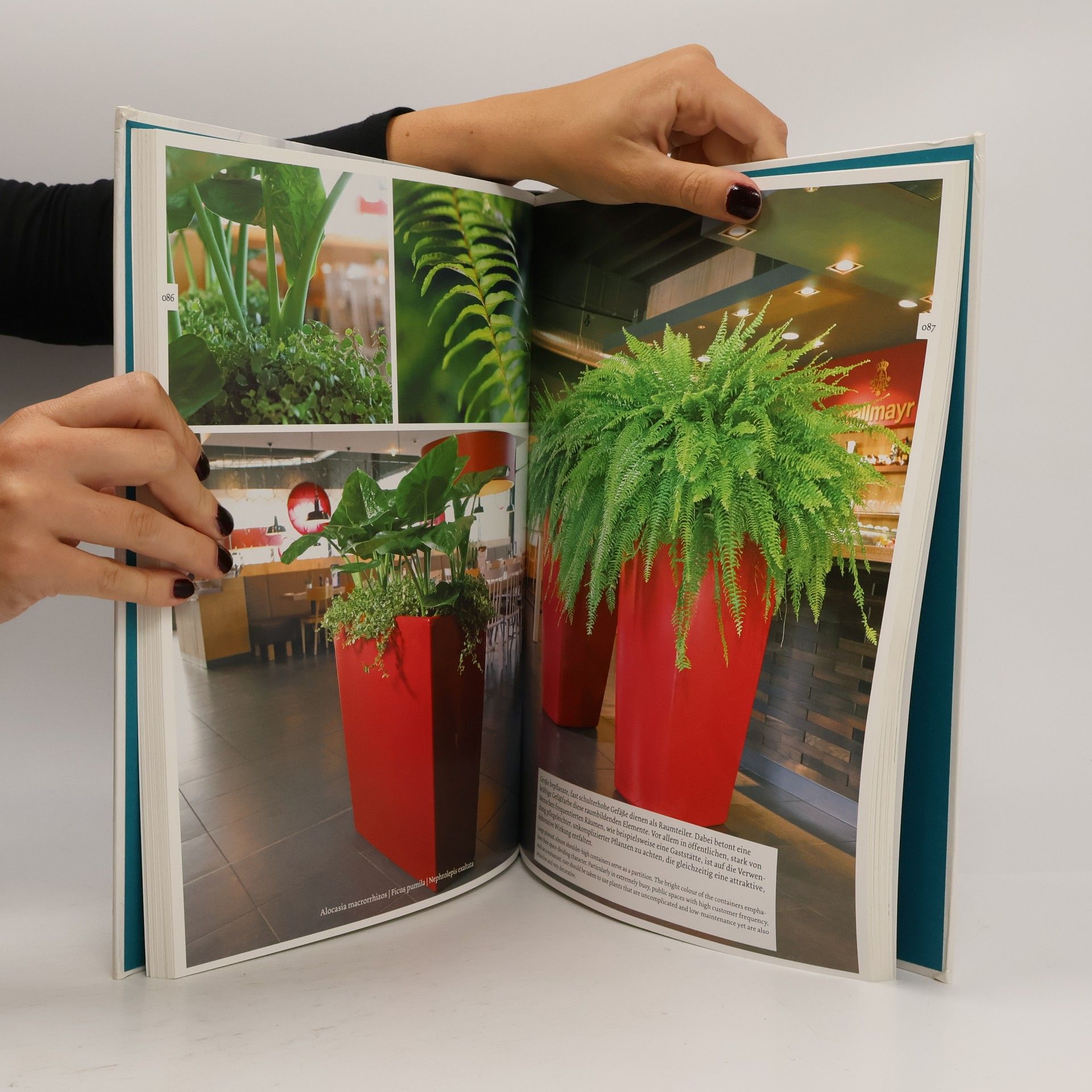 Klaus Wagener Architektur & Pflanze