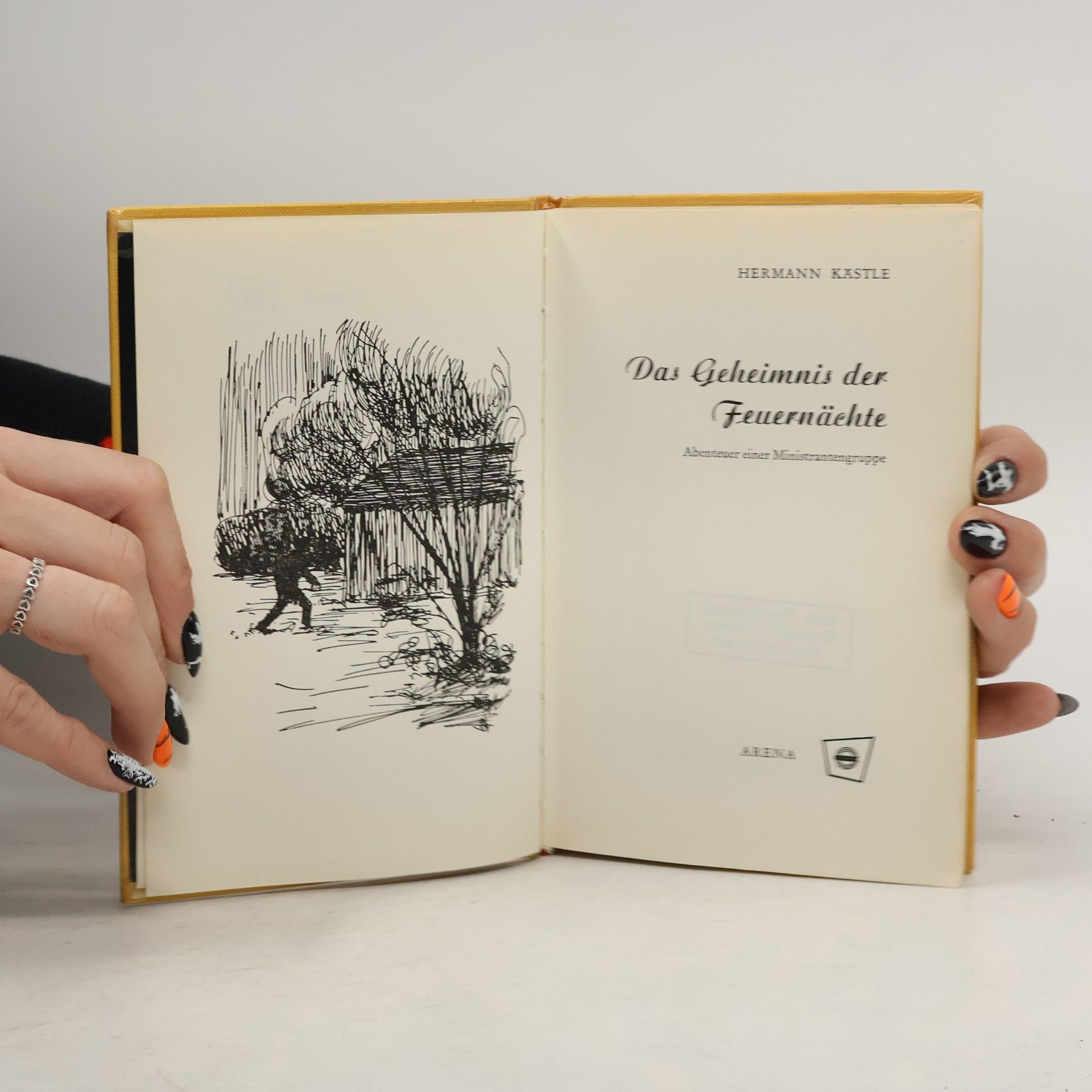 Kästle Das Geheimnis der Feuerinsel