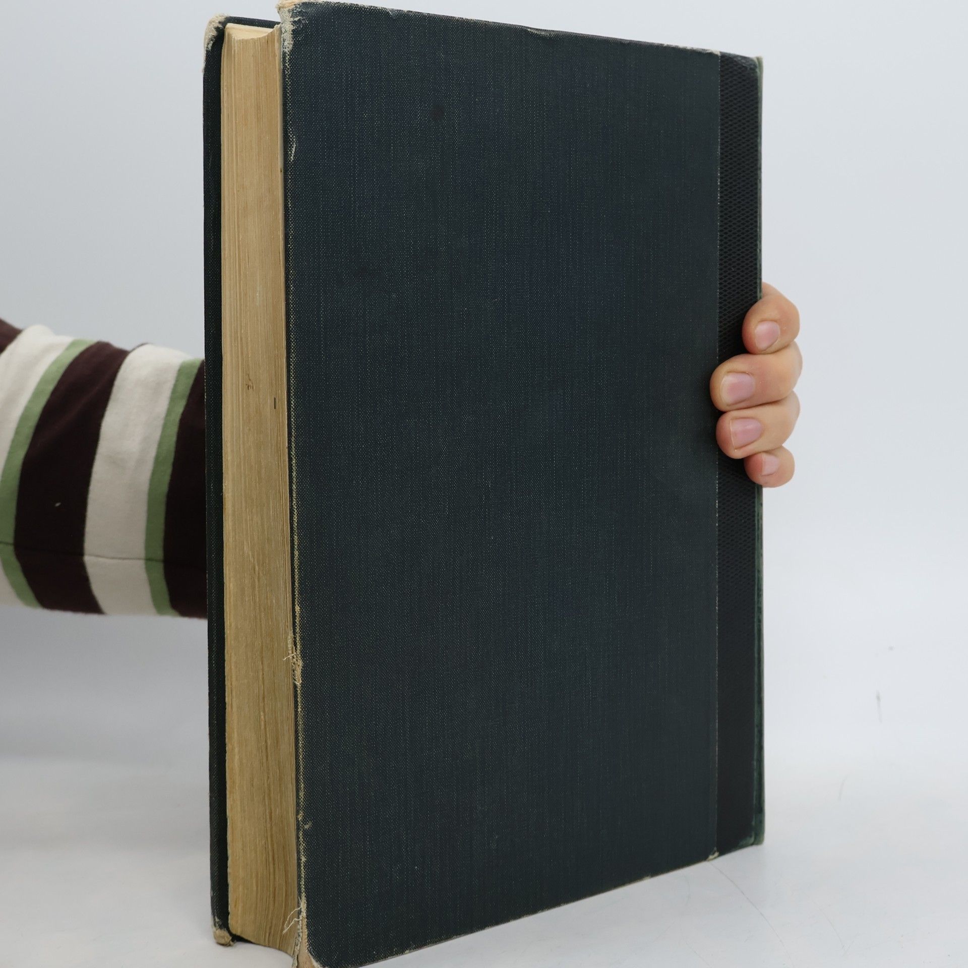 Josef M. Stowasser Stowassers Lateinisch-Deutsches Schul- und Handwörterbuch
