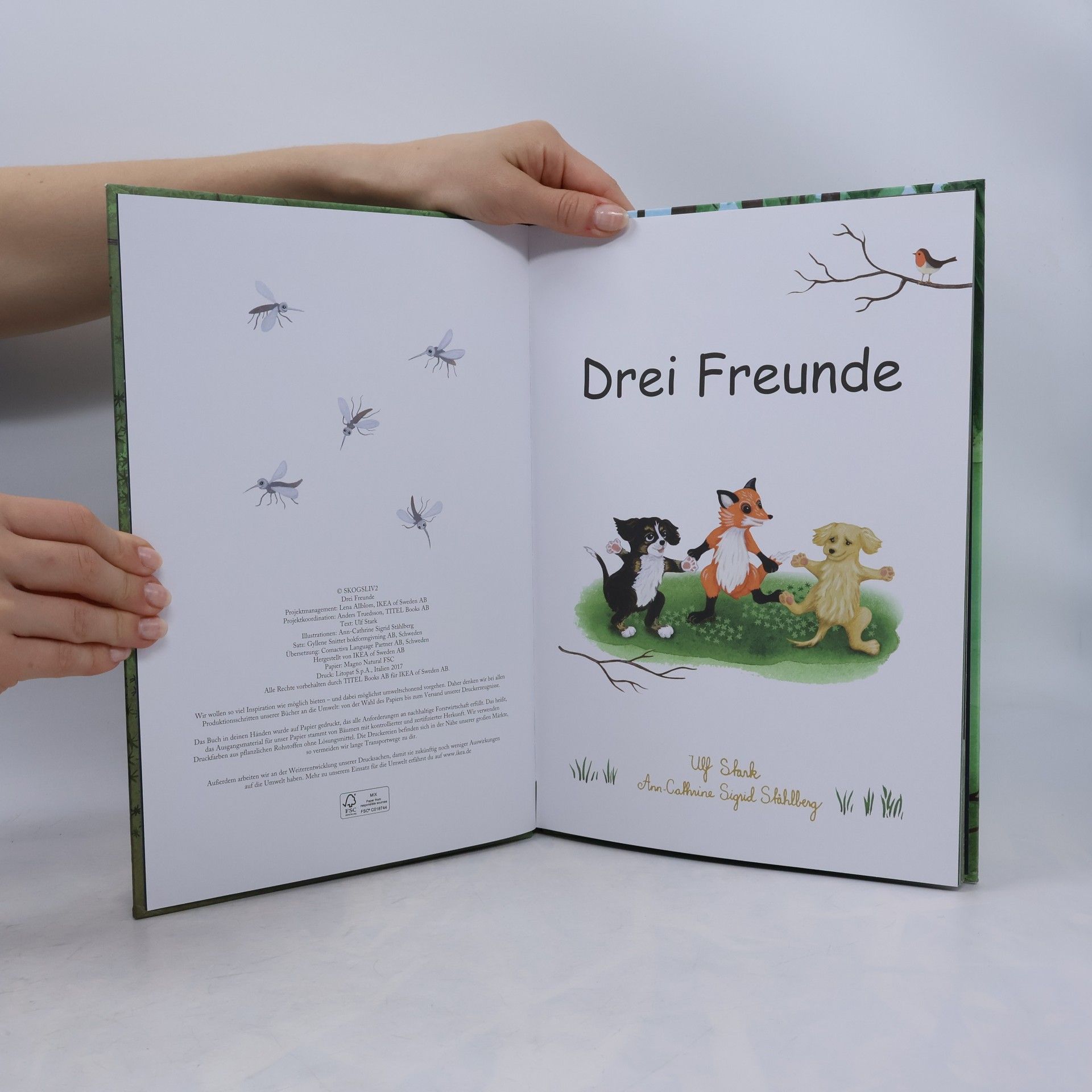 Ulf Stark Drei Freunde