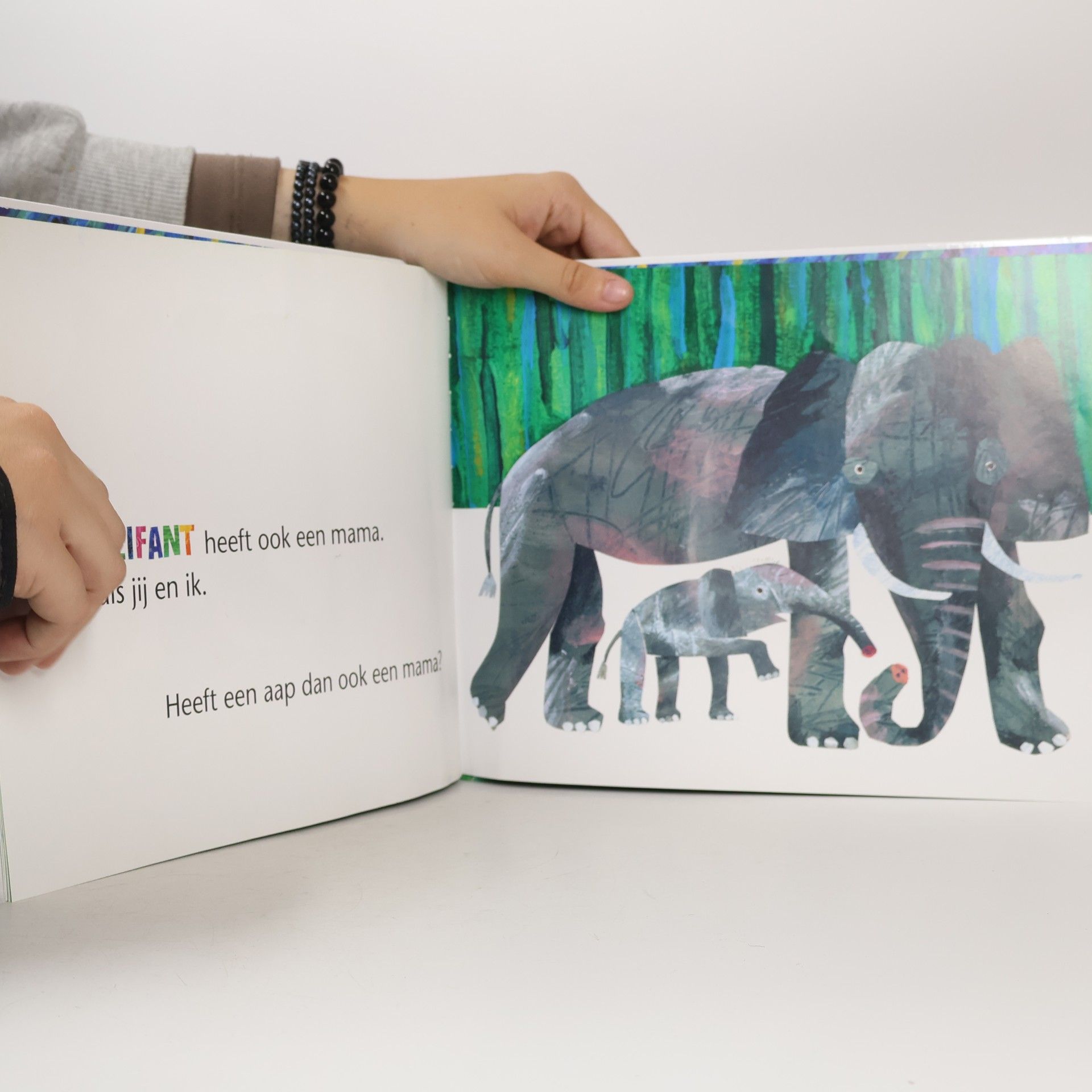Eric Carle Heeft een kangoeroe een mama?