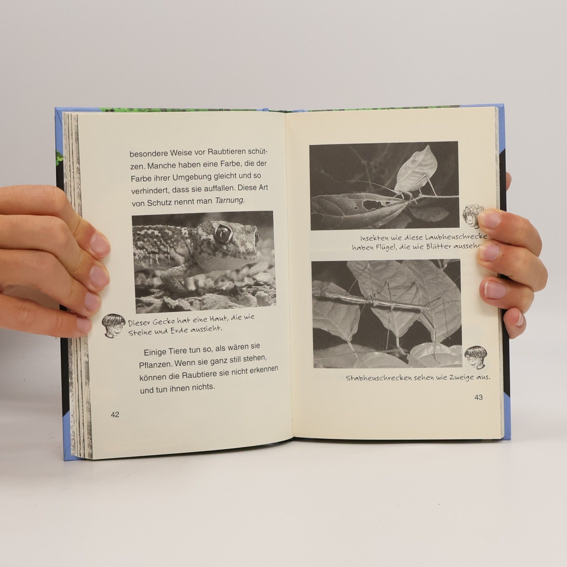 Will Osborne Das magische Baumhaus: Forscherhandbuch Regenwald.