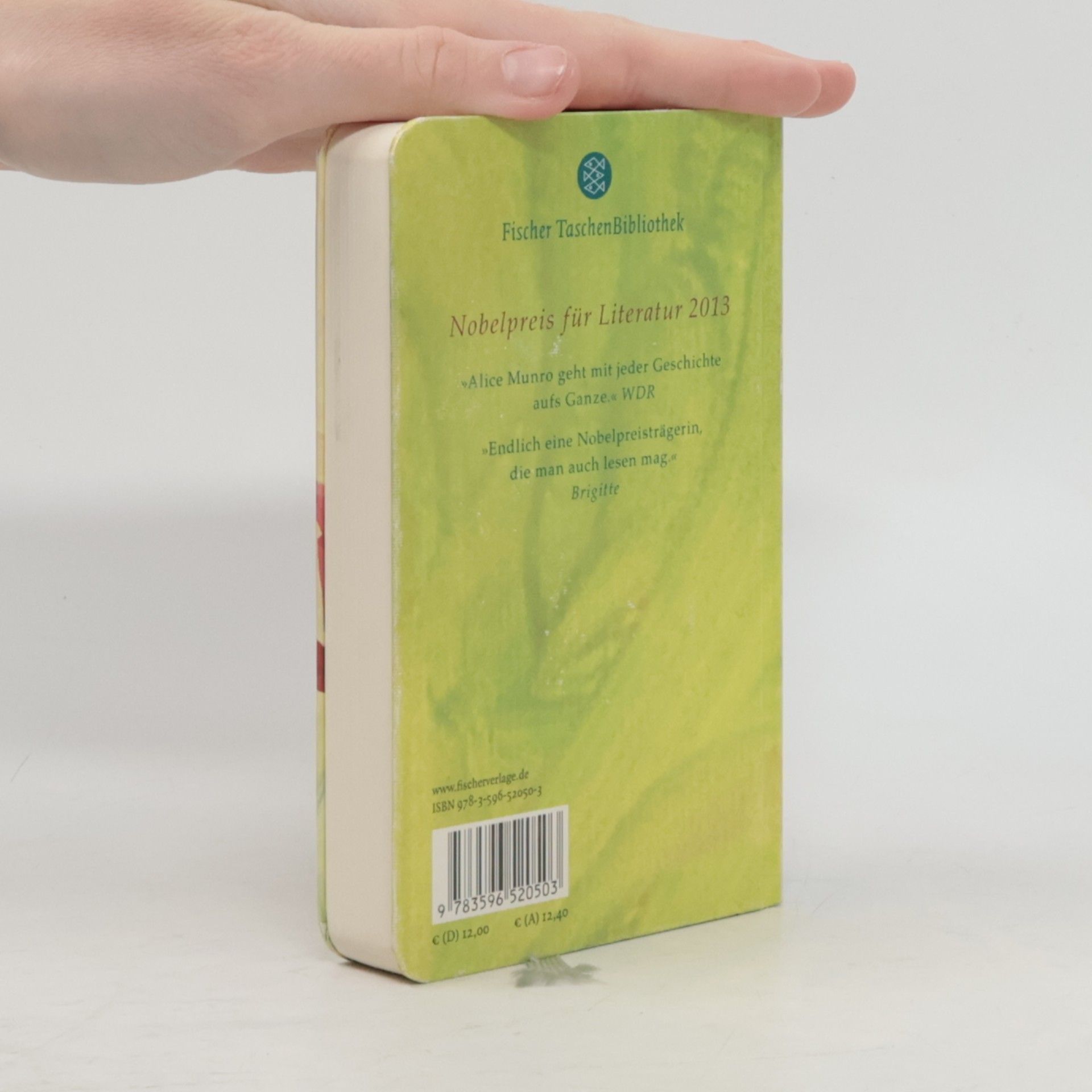 Alice Munro Fischer Taschenbibliothek: Glaubst du, es war Liebe?