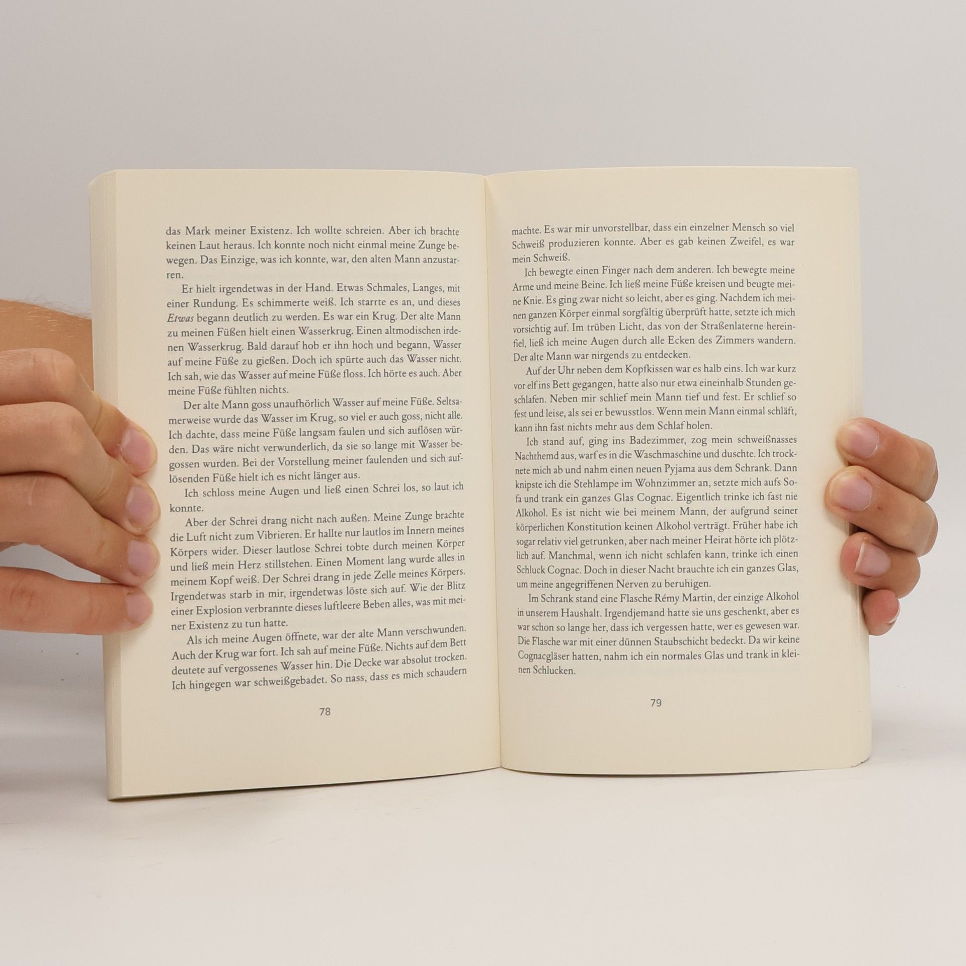 Haruki Murakami Der Elefant verschwindet