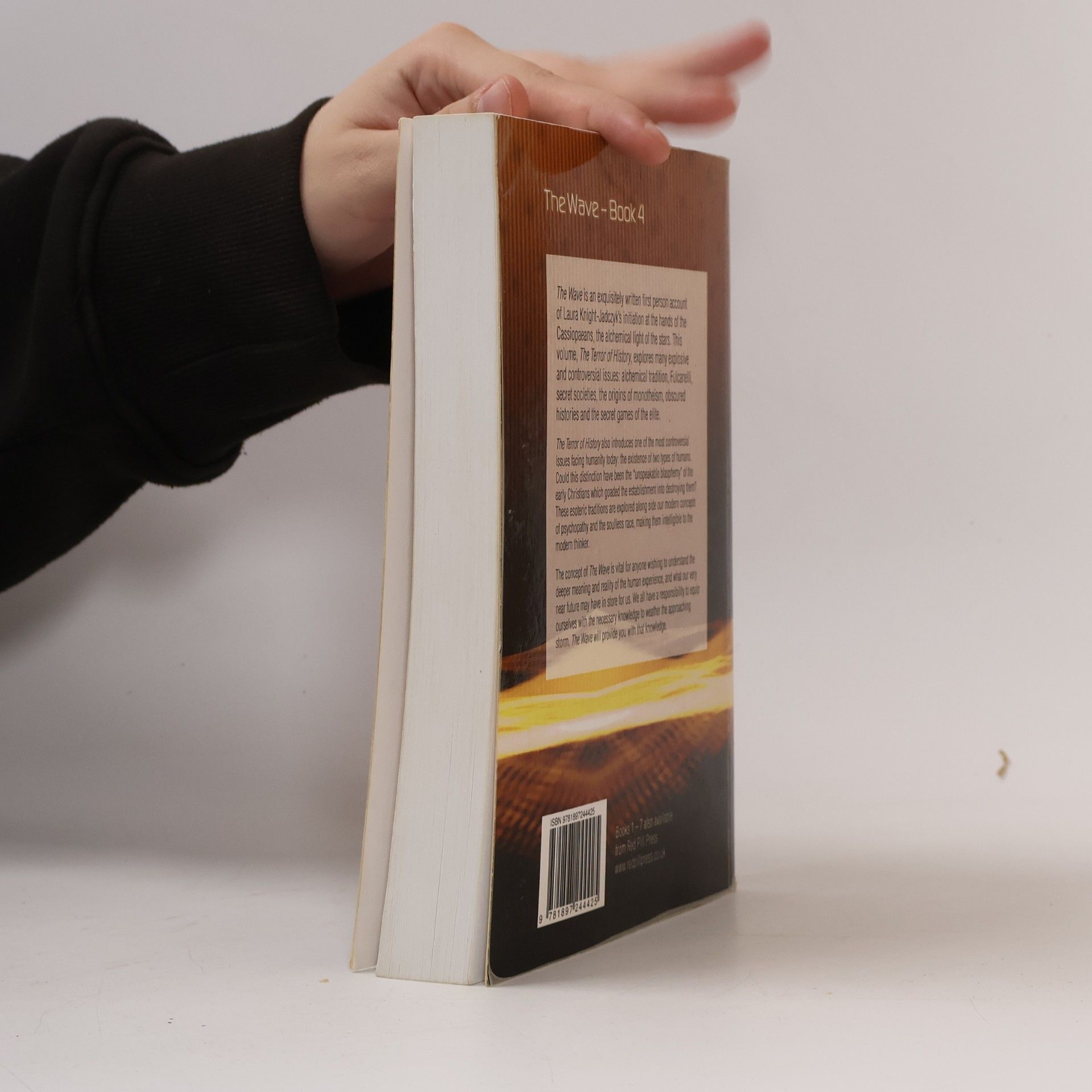 Laura Knight-Jadczyk The Wave Book 4