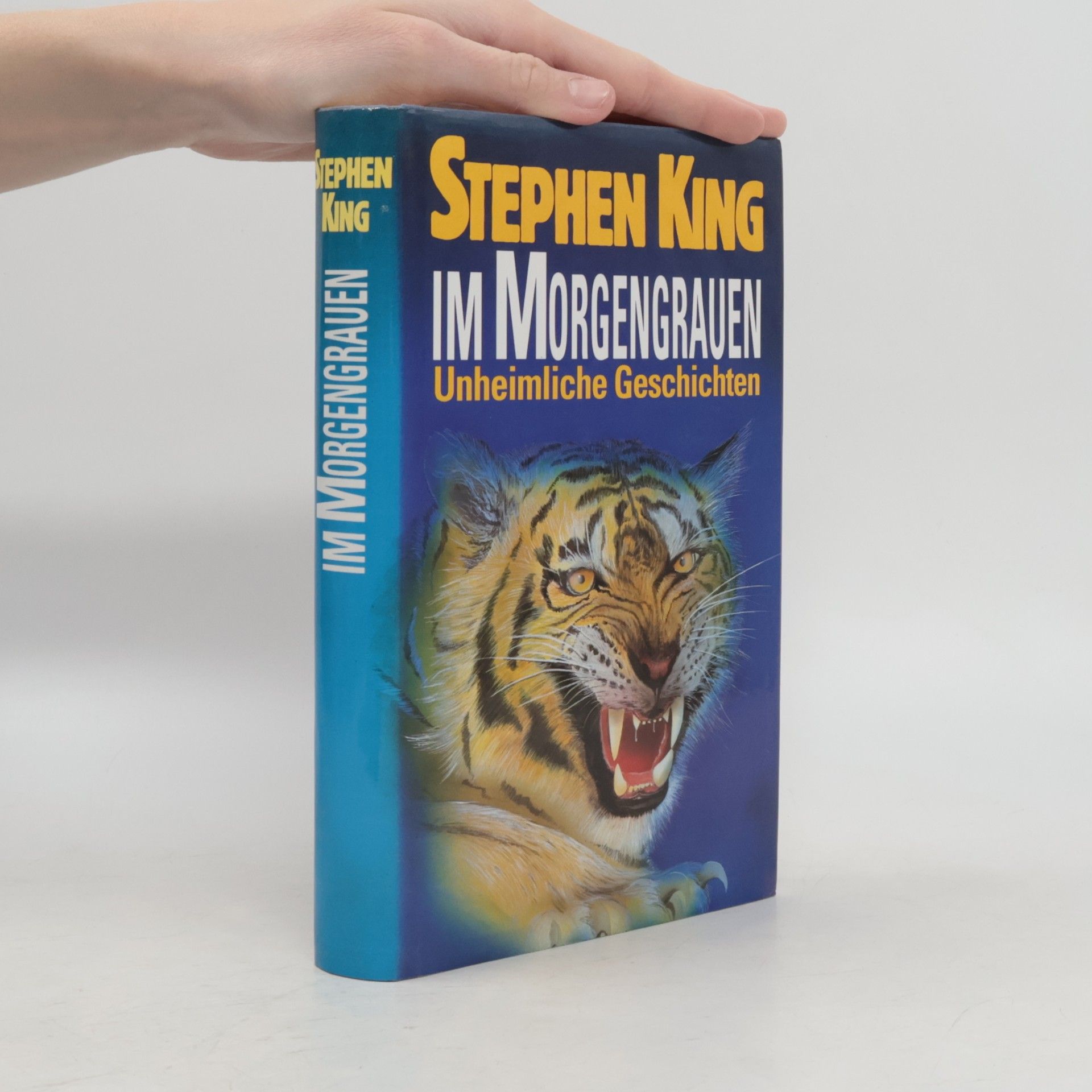 Stephen King Im Morgengrauen
