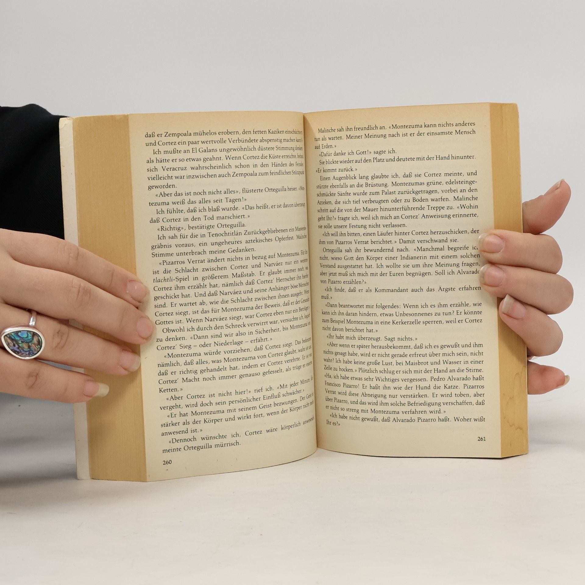 Jane L. Brandt La chingada oder der Zorn Gottes