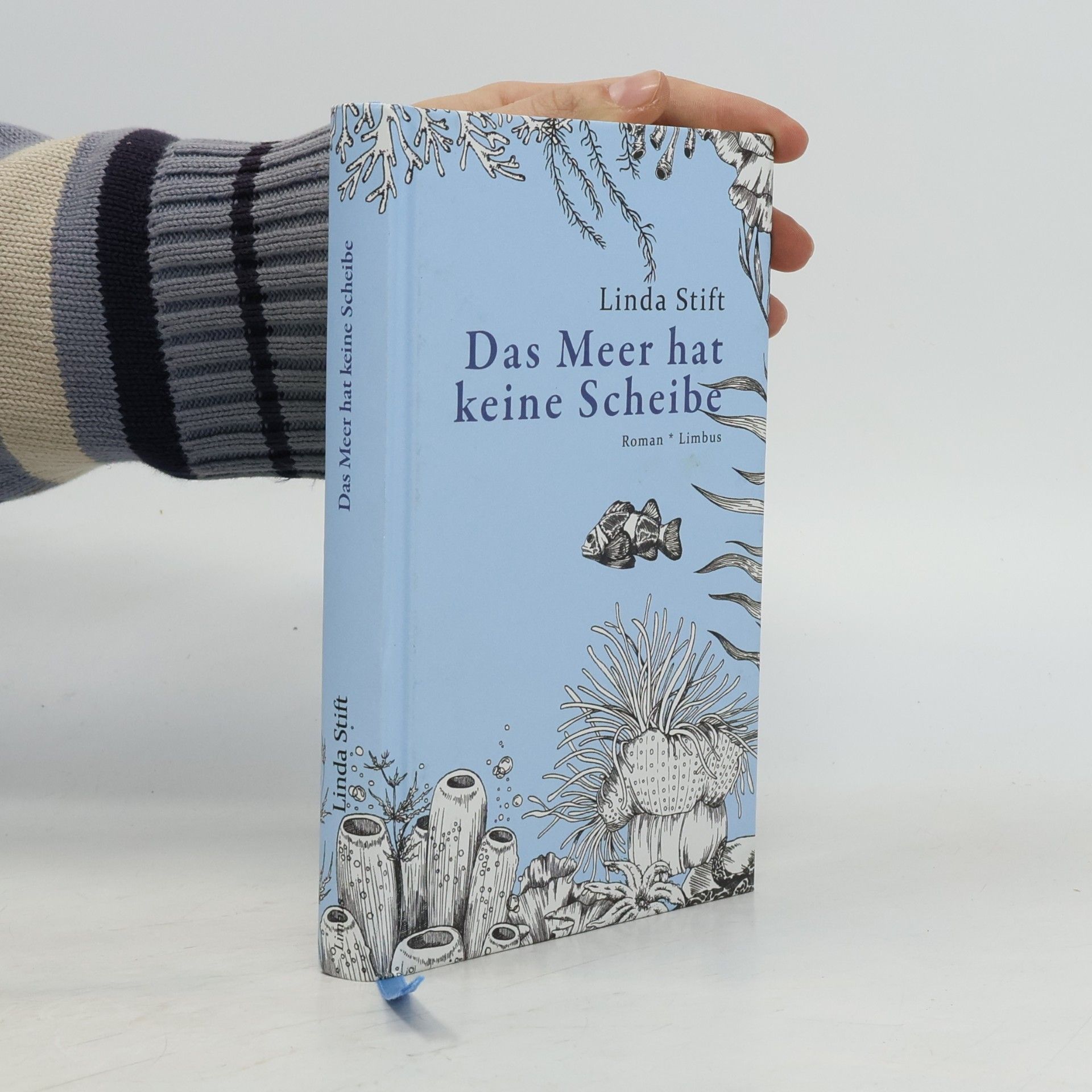 Das Meer hat keine Scheibe