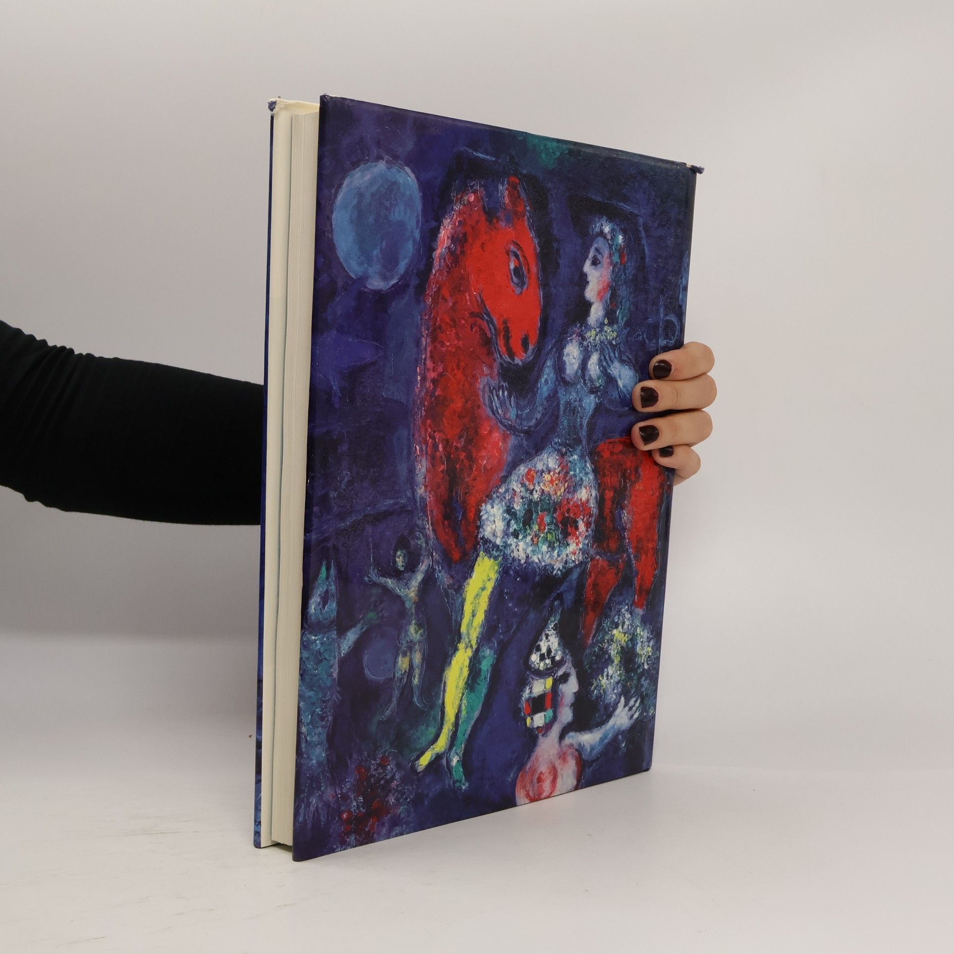 Various authors Chagall Discovered