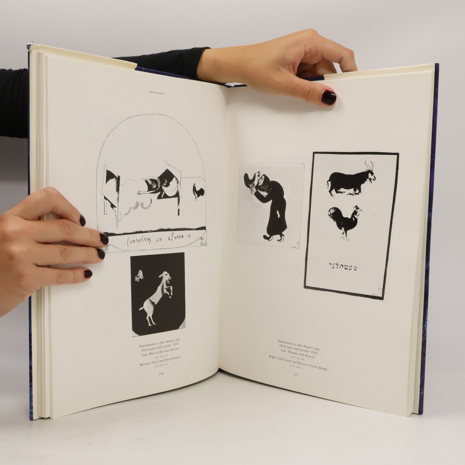 Various authors Chagall Discovered