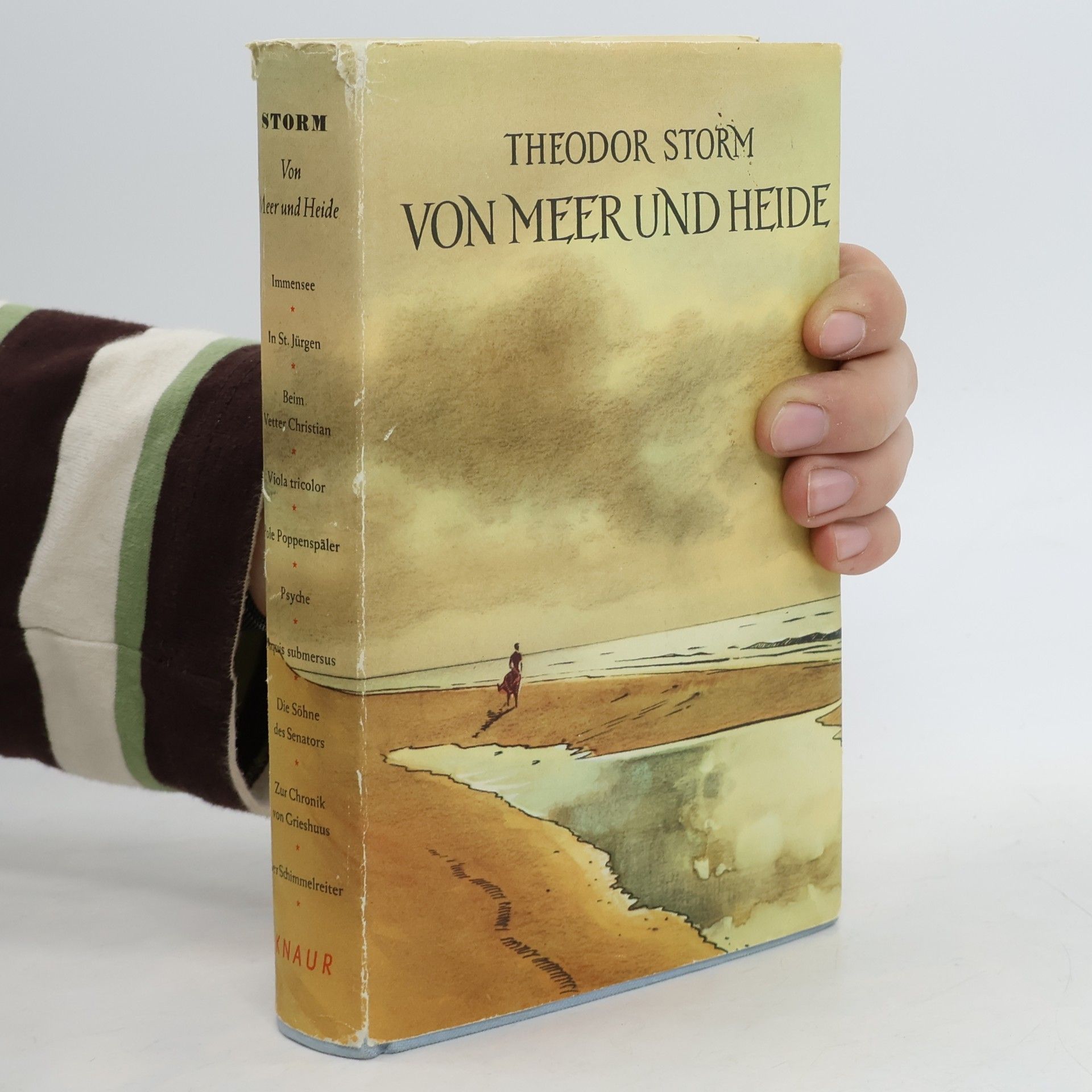 Theodor Storm Vom Meer und Heide