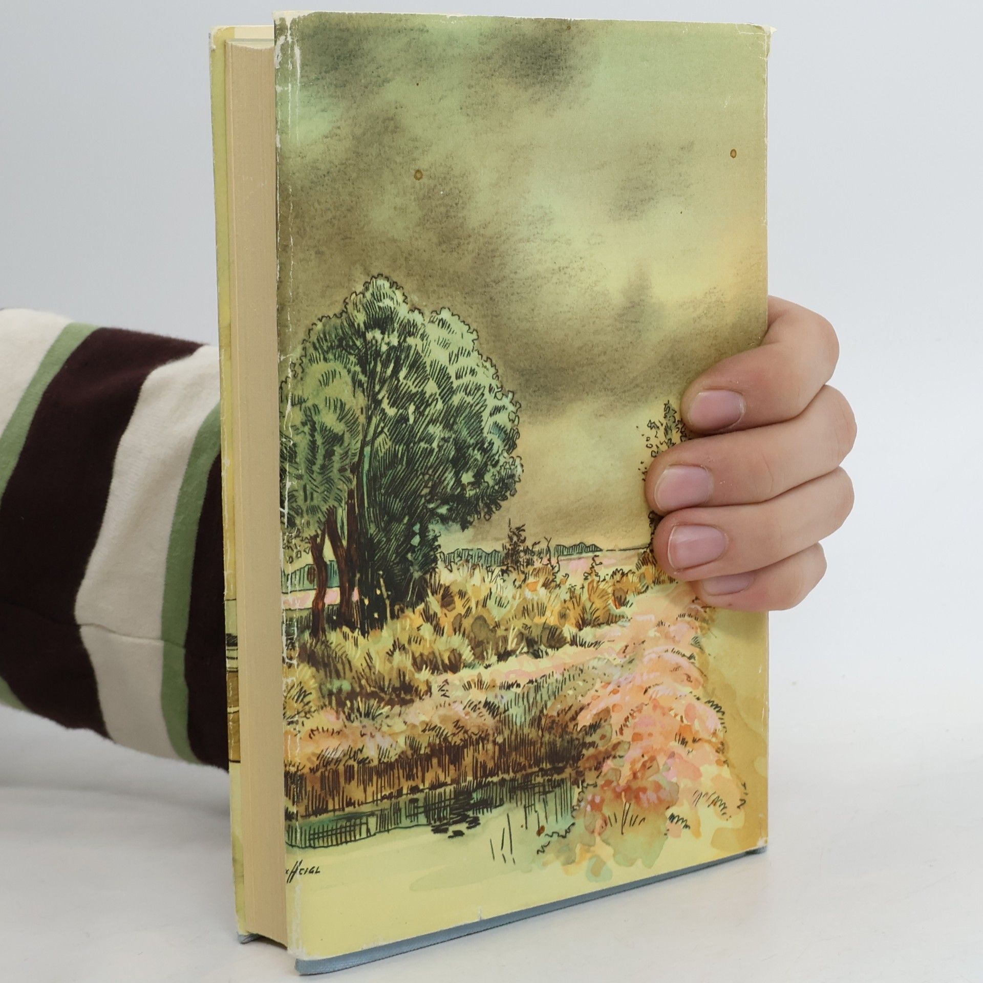 Theodor Storm Vom Meer und Heide
