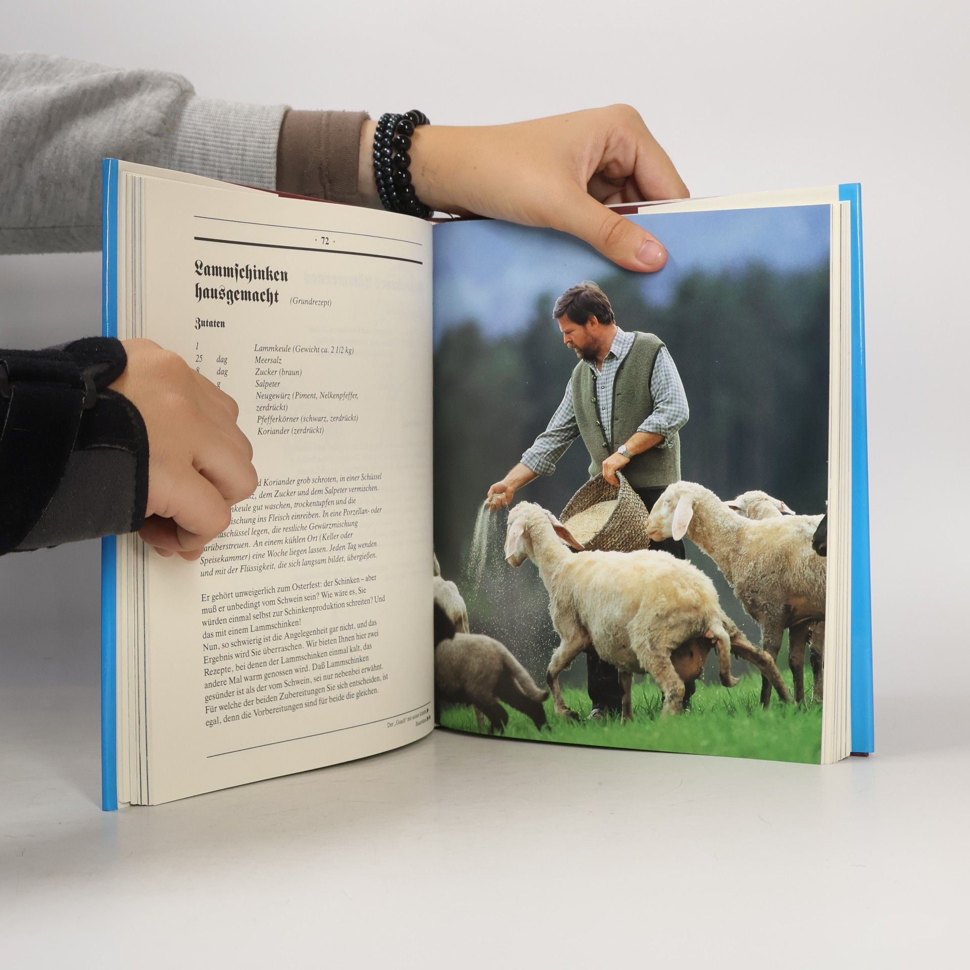 kolektiv Zweites Kochbuch für Leib & Seel'