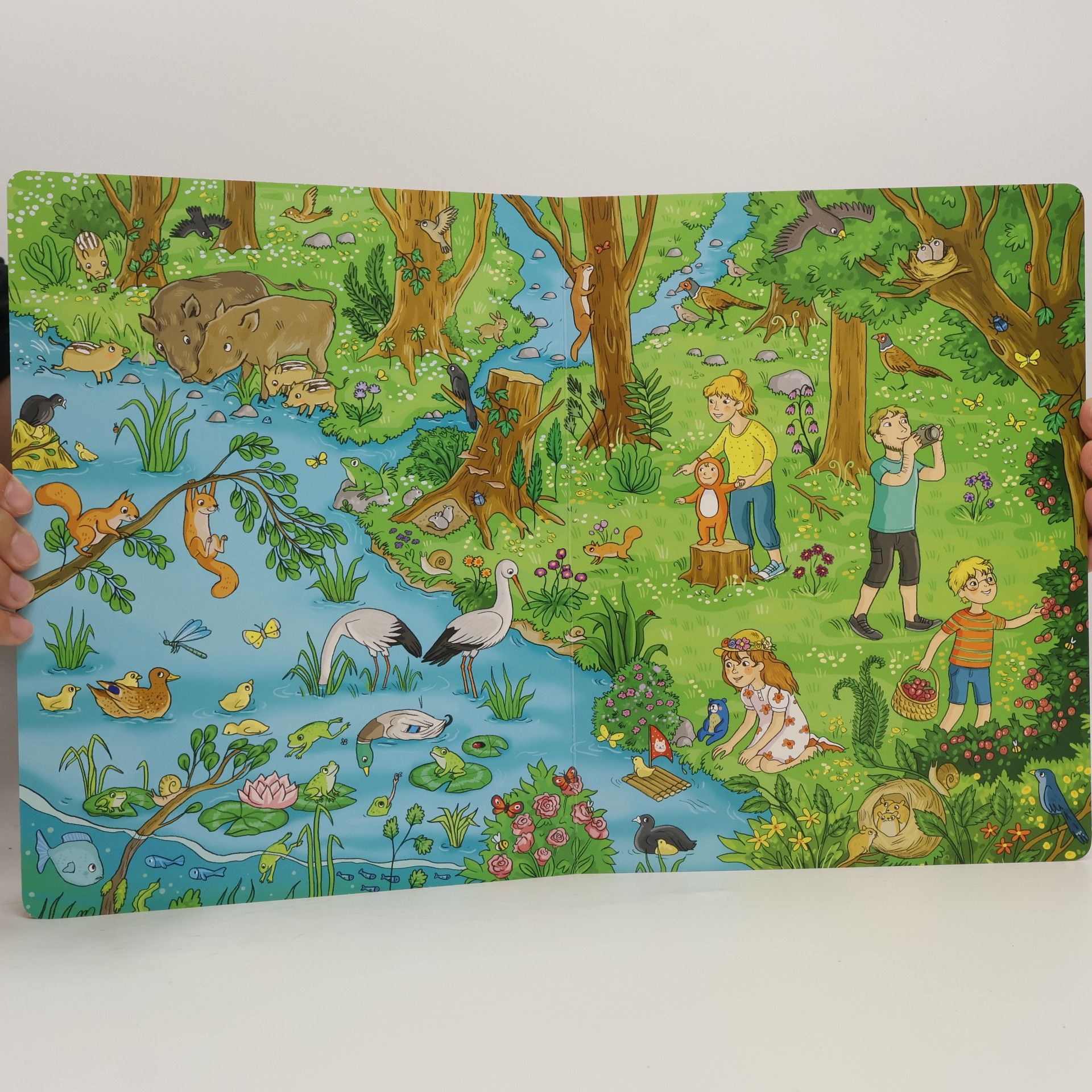 Isabelle Metzen Wimmelbuch Wald - Entdecke in diesem Wimmelbuch, was man im Wald finden kann!