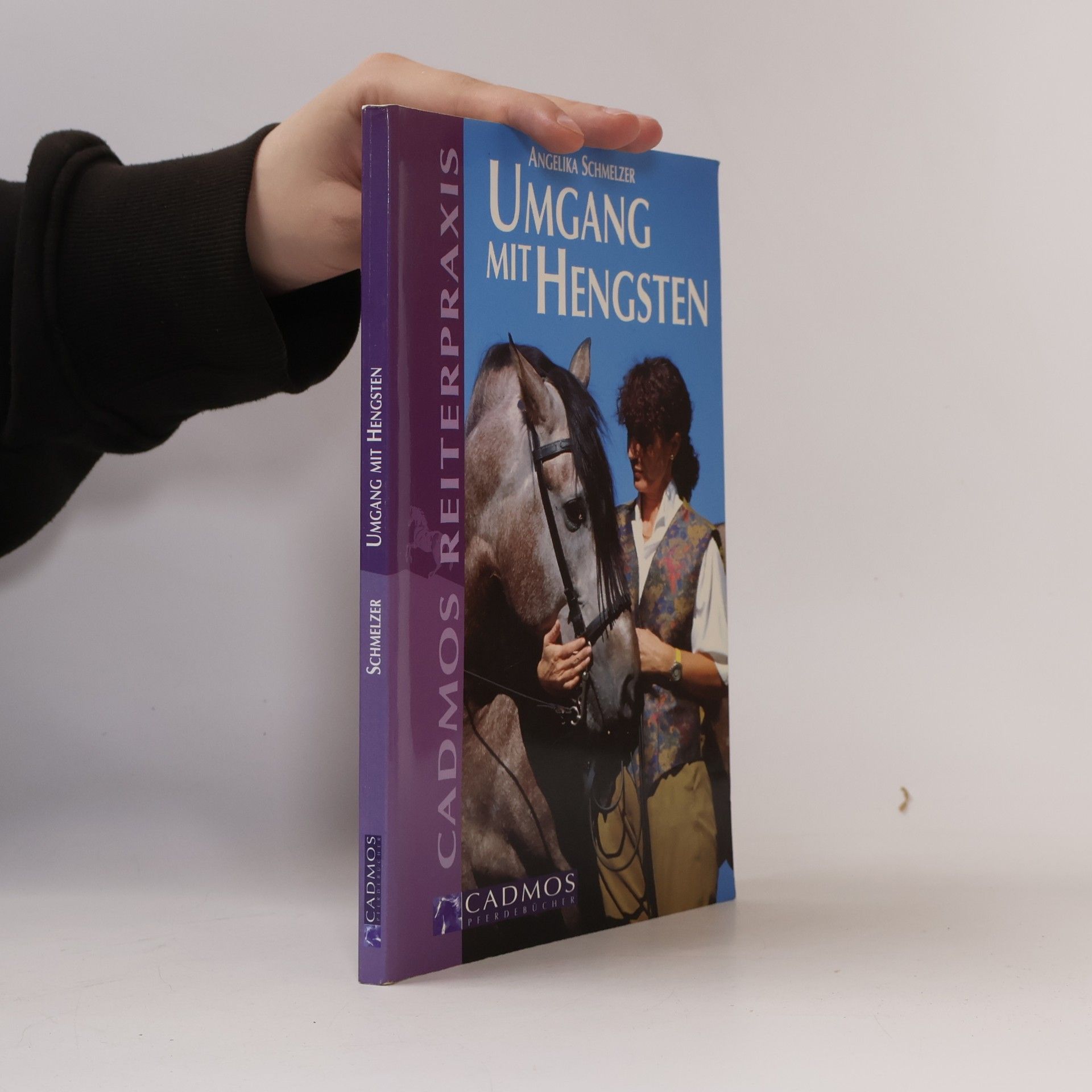 Cadmos Reiterpraxis: Umgang mit Hengsten