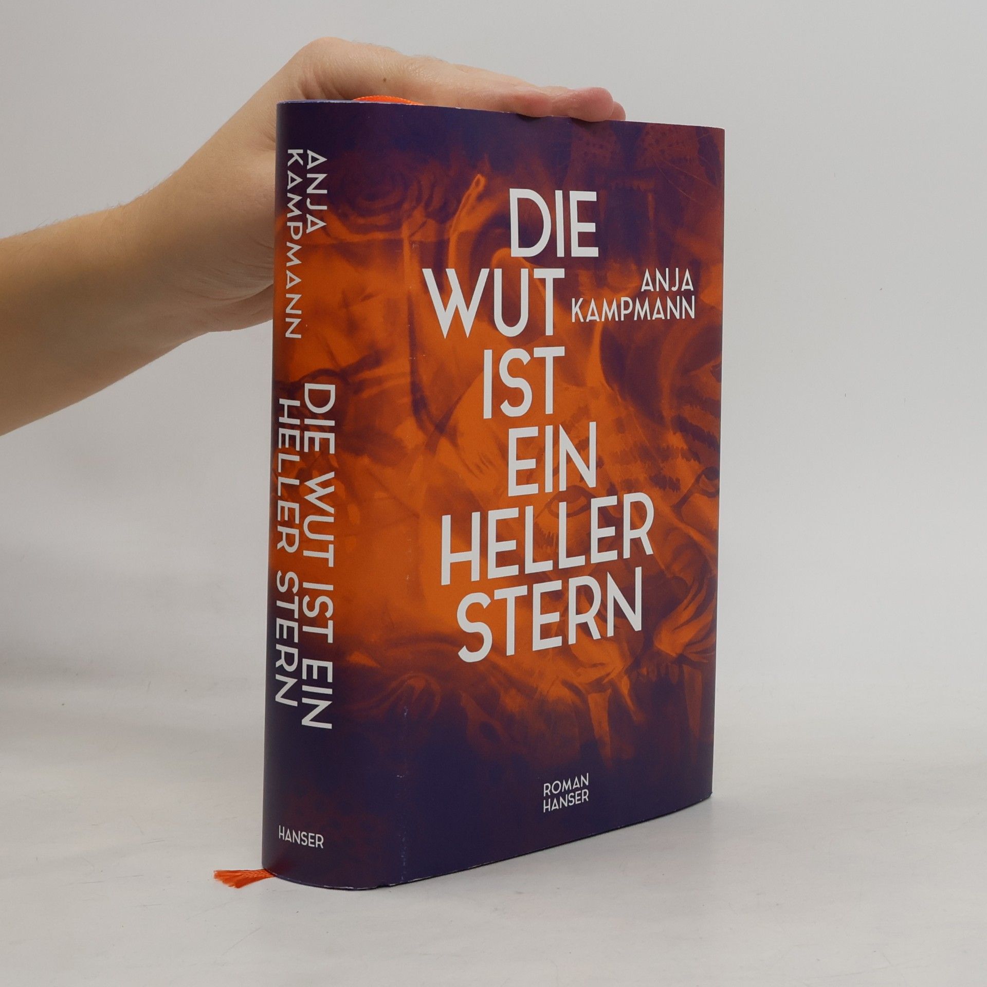 Anja Kampmann Die Wut ist ein heller Stern