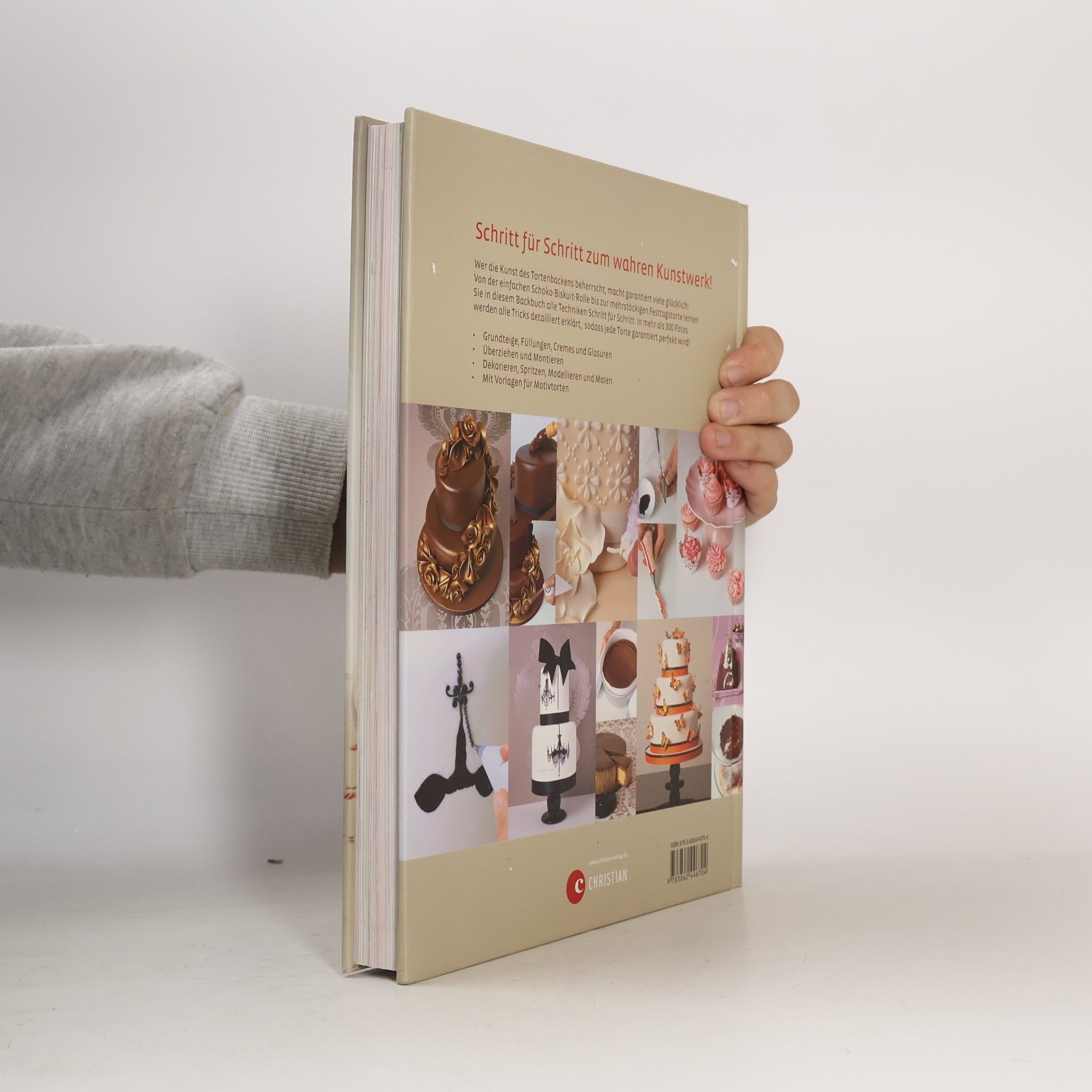 Mich Turner Die große Tortenschule. Das Standardwerk: 55 Techniken • 40 Rezepte • 300 Fotos