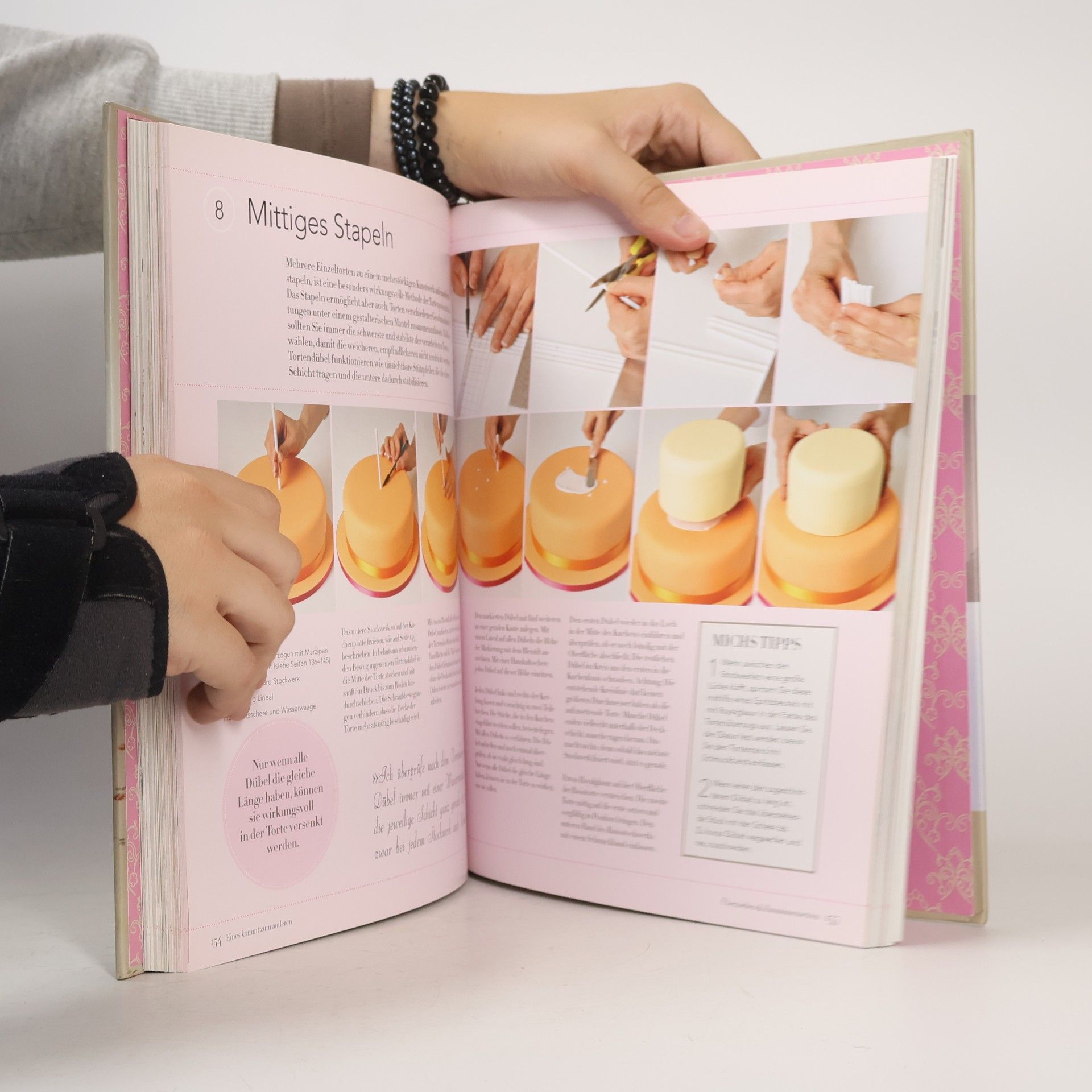 Mich Turner Die große Tortenschule. Das Standardwerk: 55 Techniken • 40 Rezepte • 300 Fotos